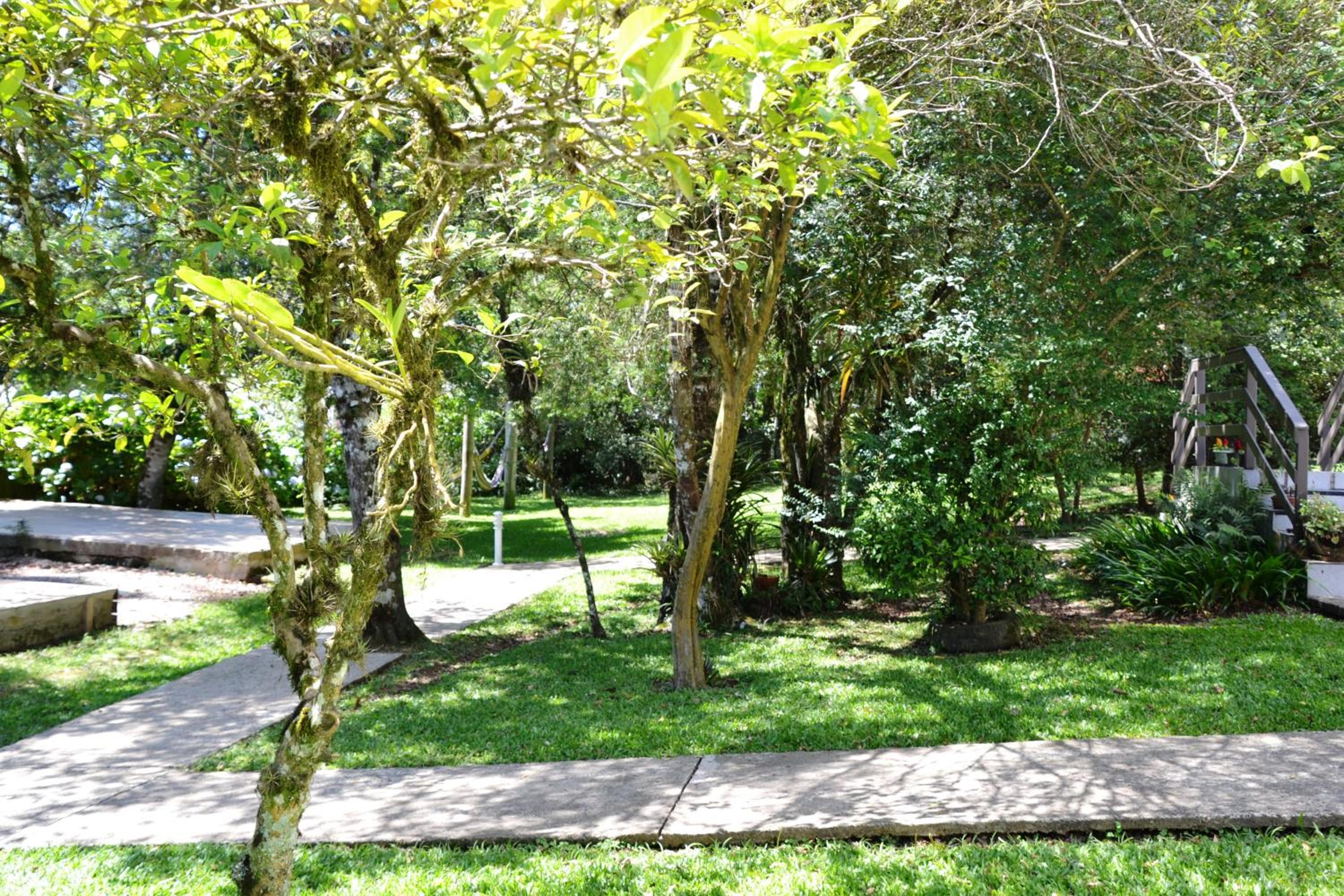 Hotel Pousada Dos Pinheiros