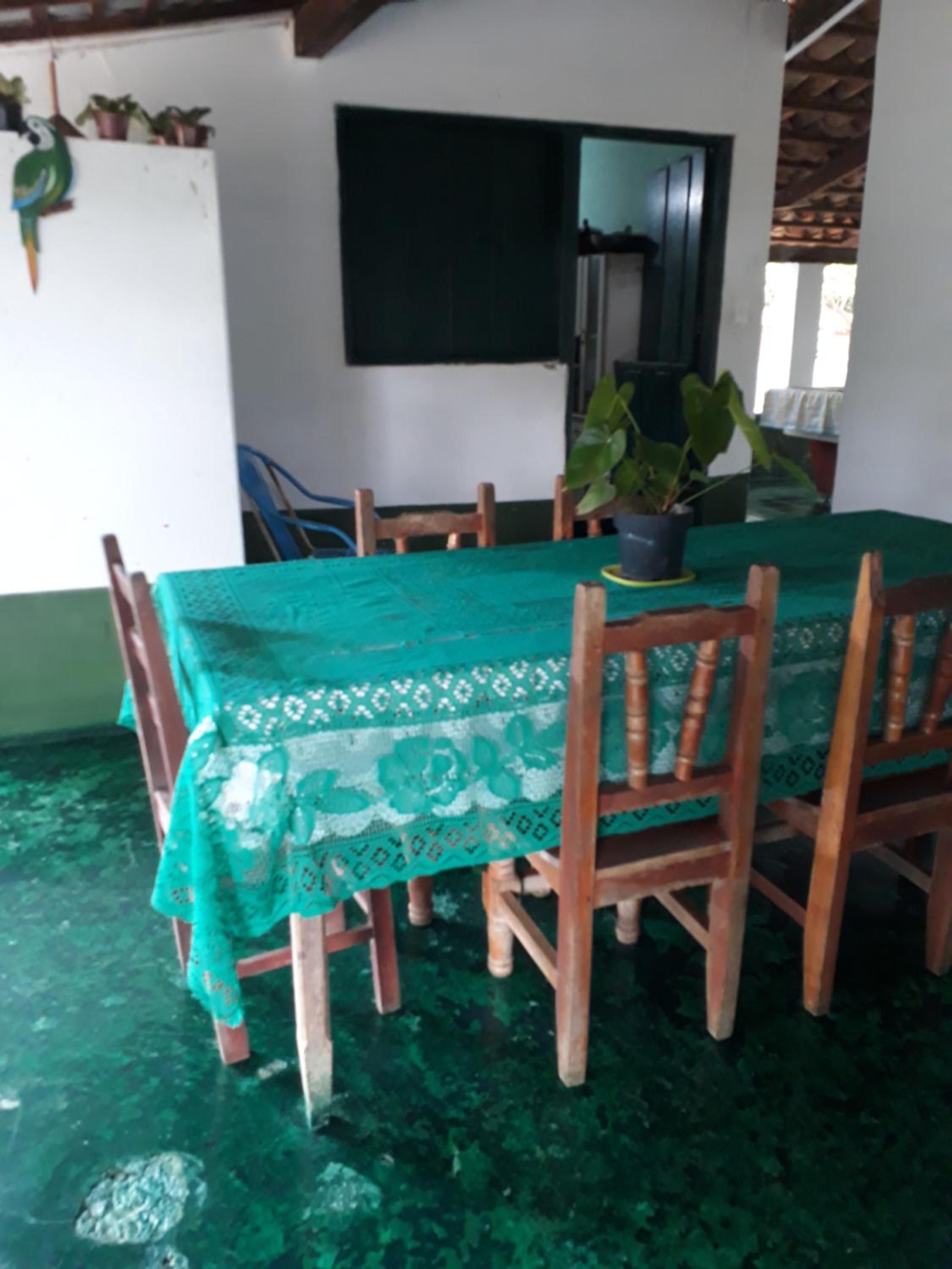 Chacara bica dágua