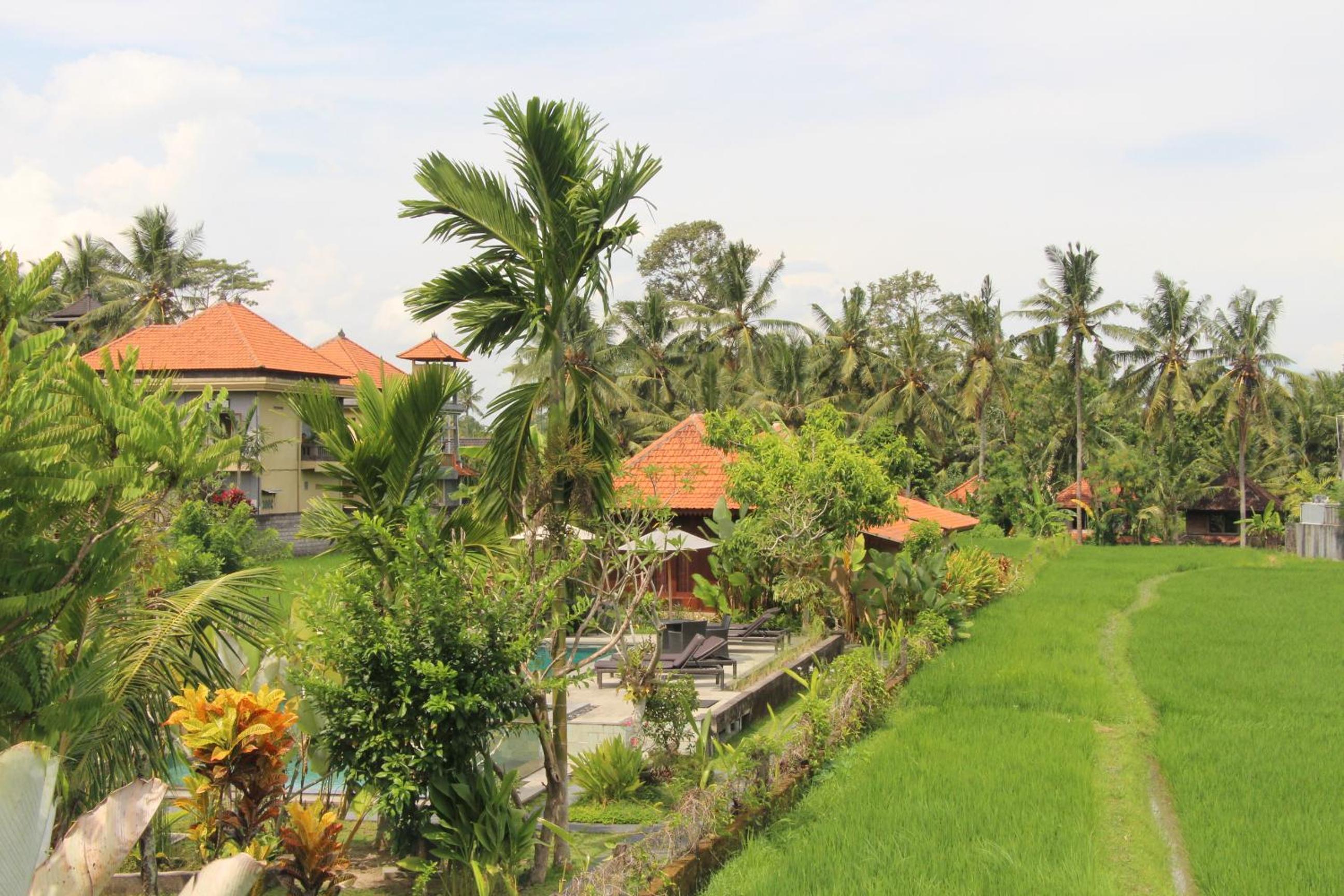 Nur Guest House by Purely view 2