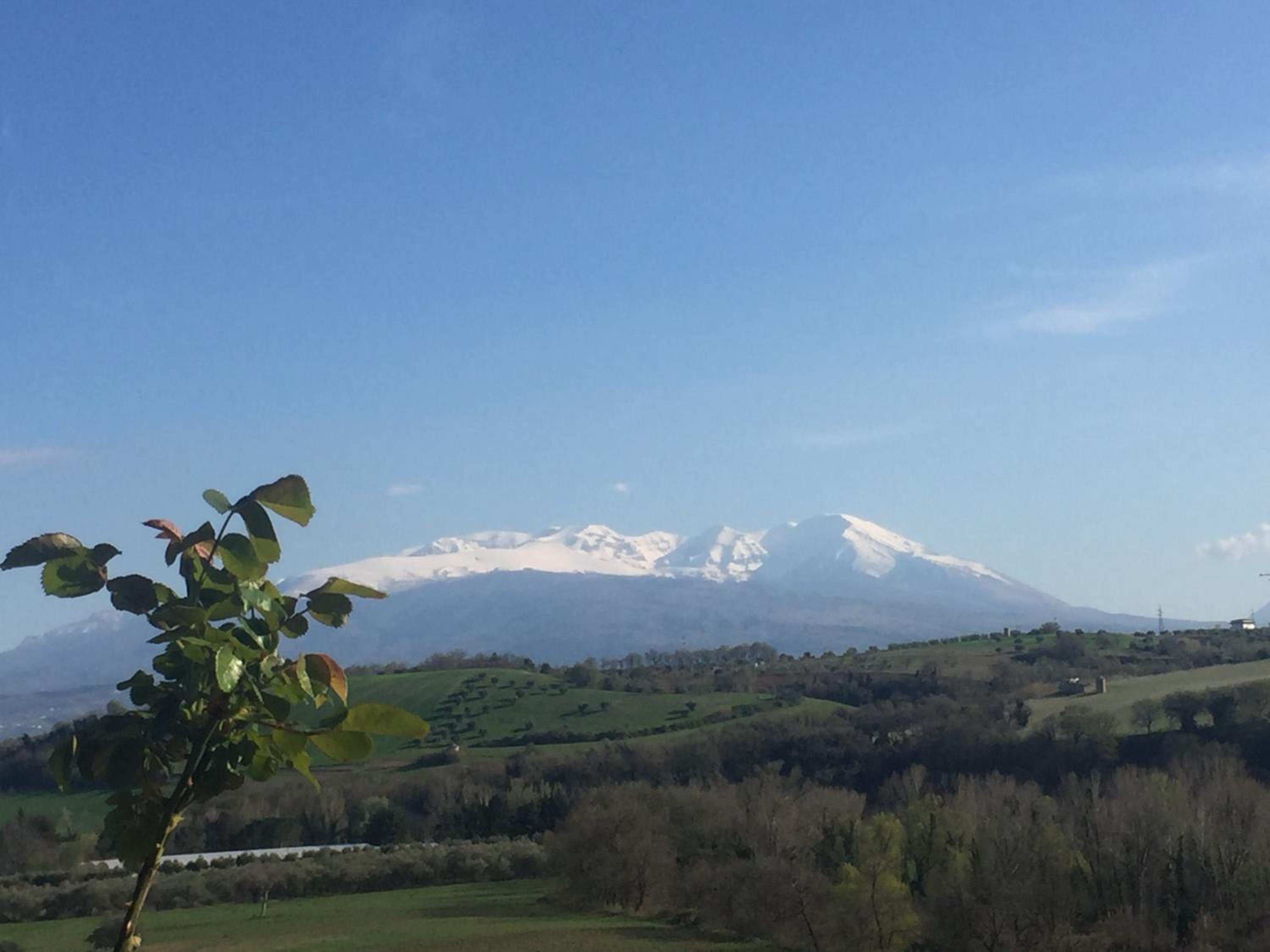 Casale del Sole