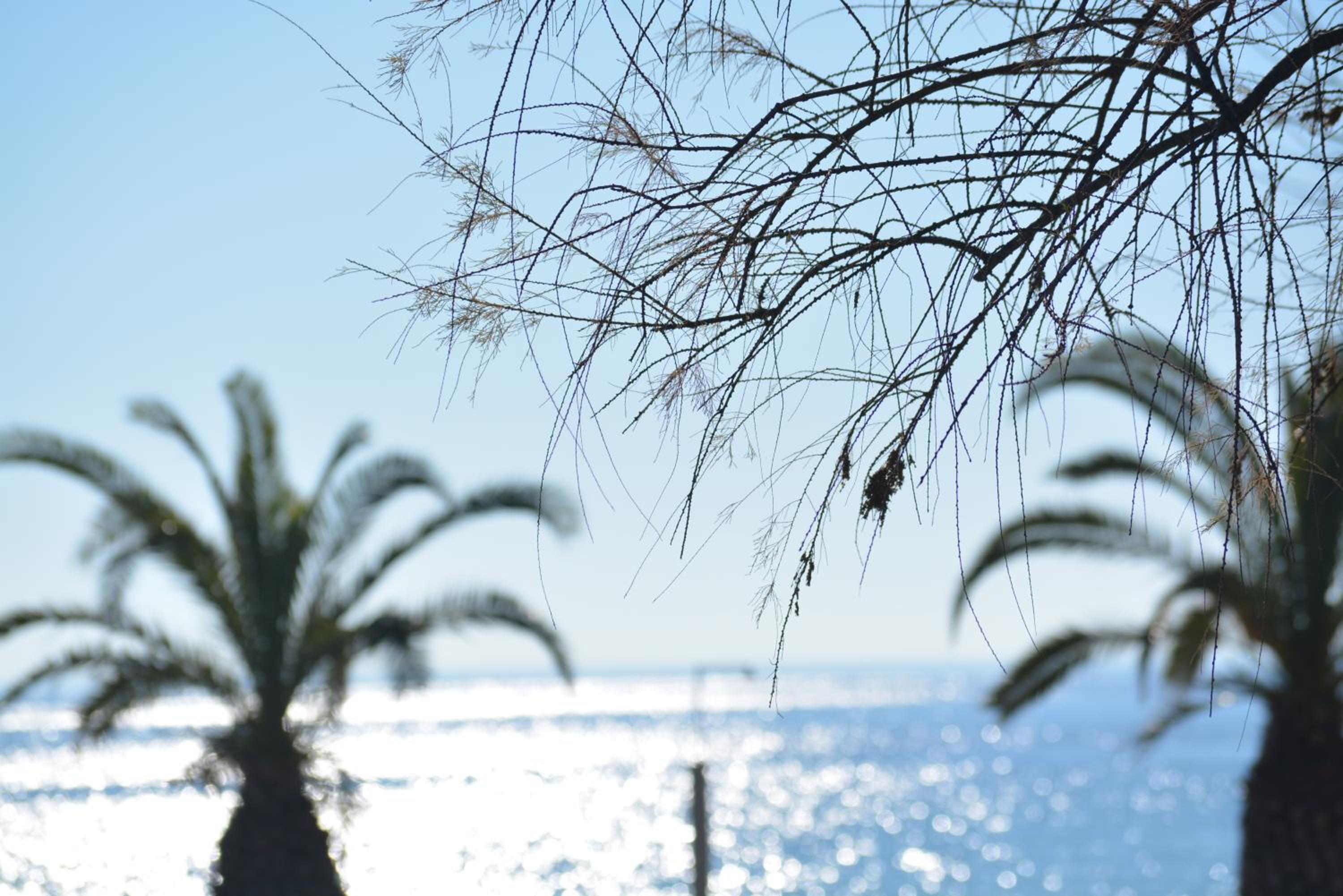 Apartments Dimitra