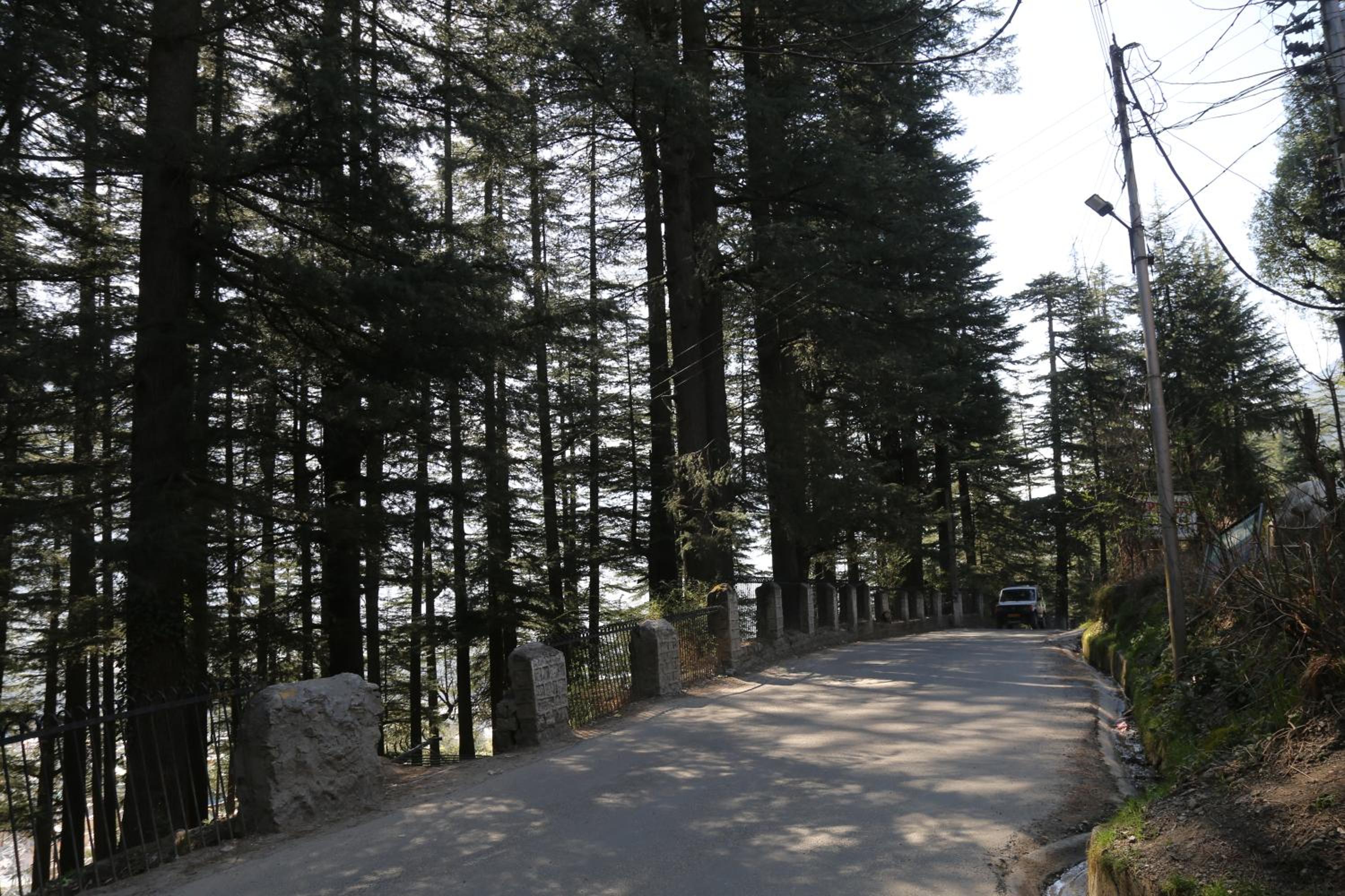 Hotel Mountain Trail Manali