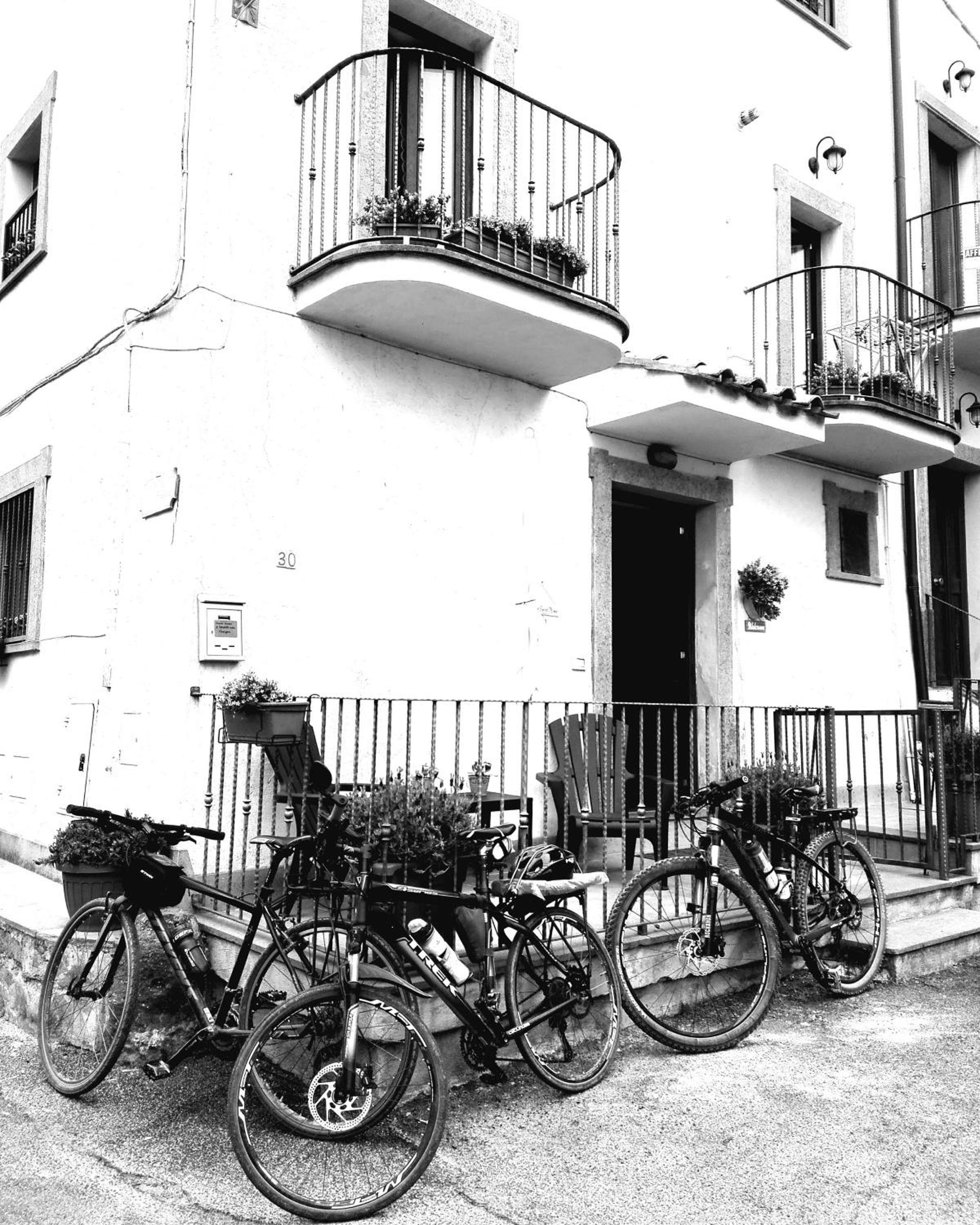 Photo 46