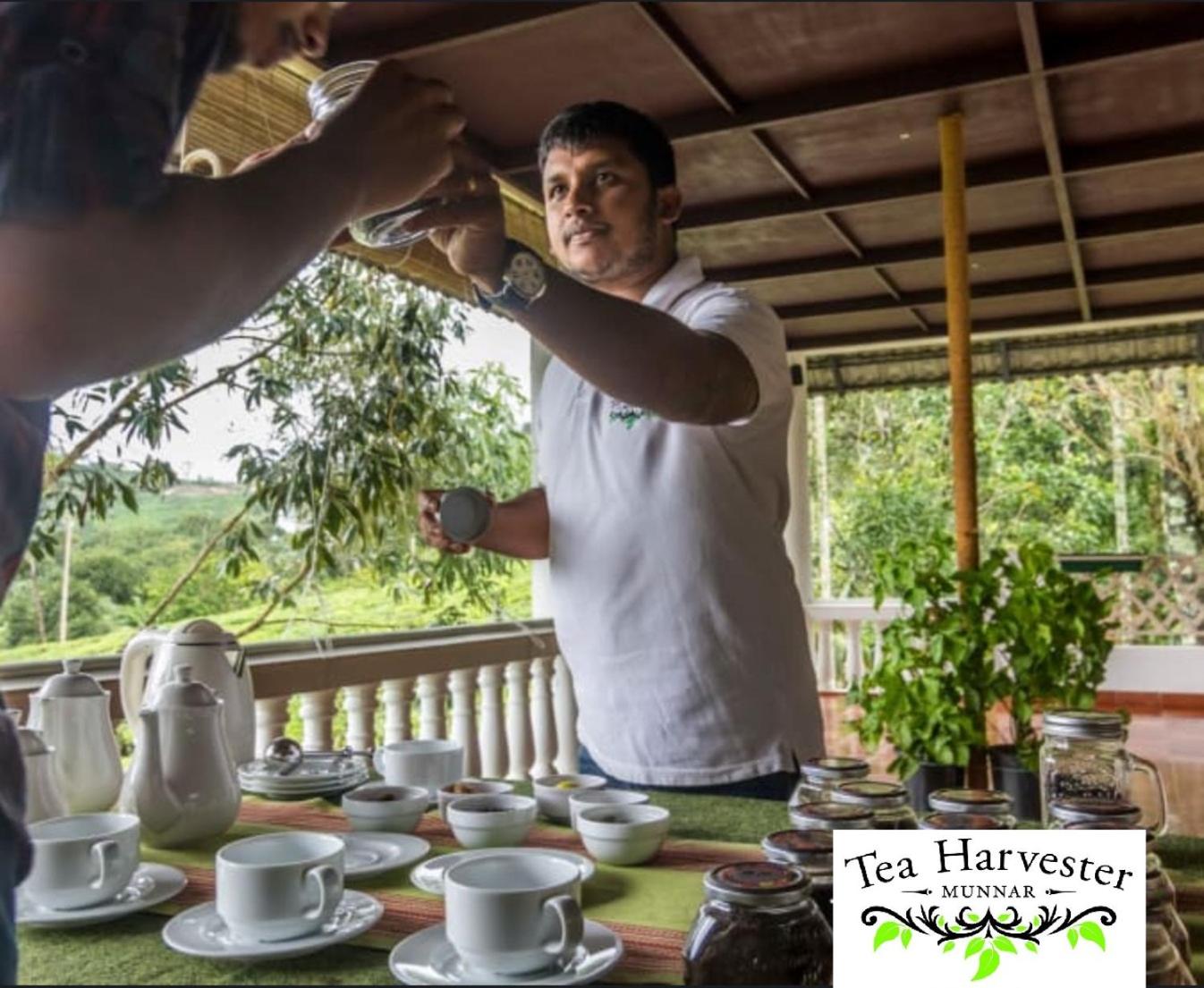 Tea Harvester