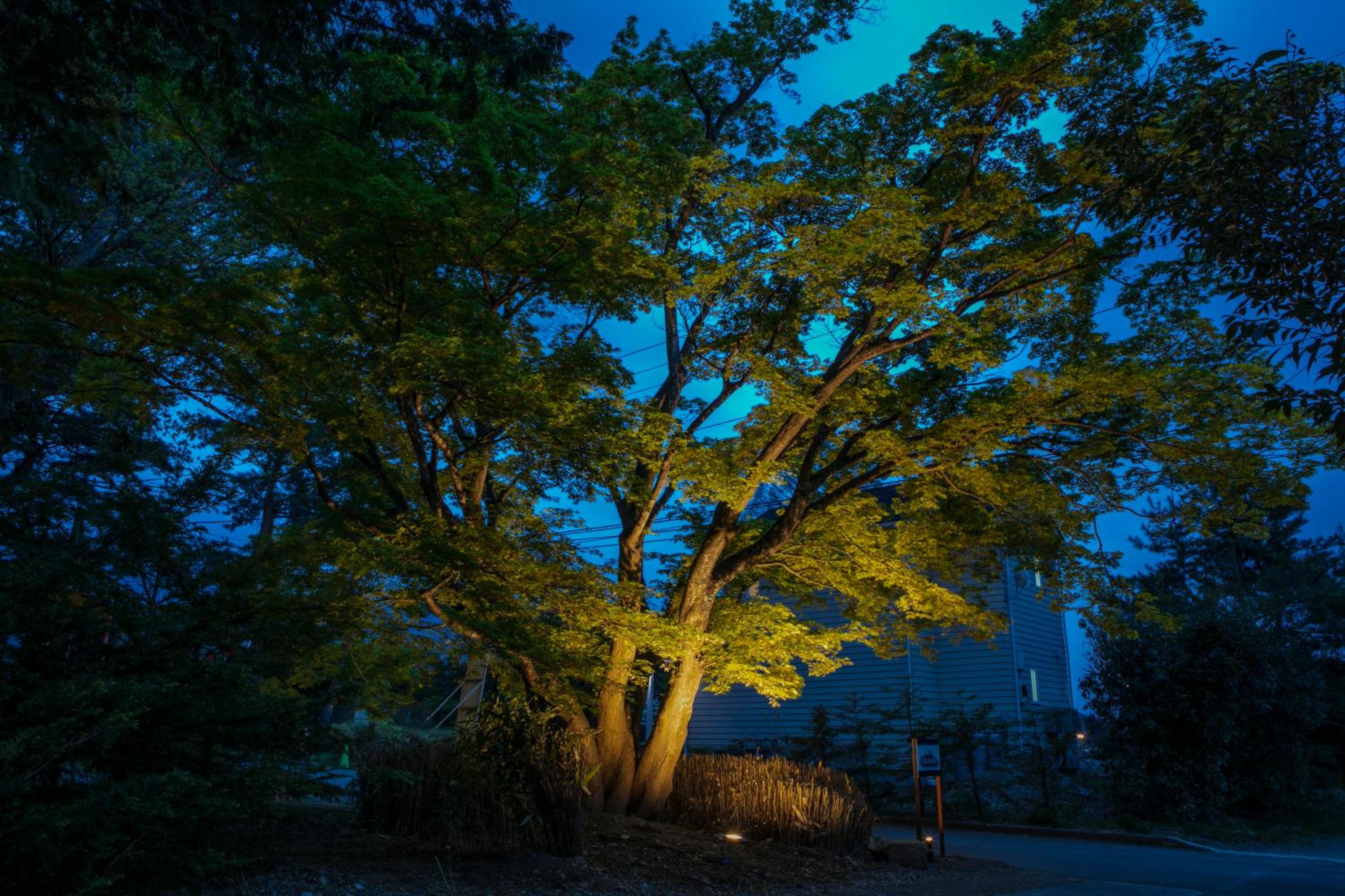Villa Yushin