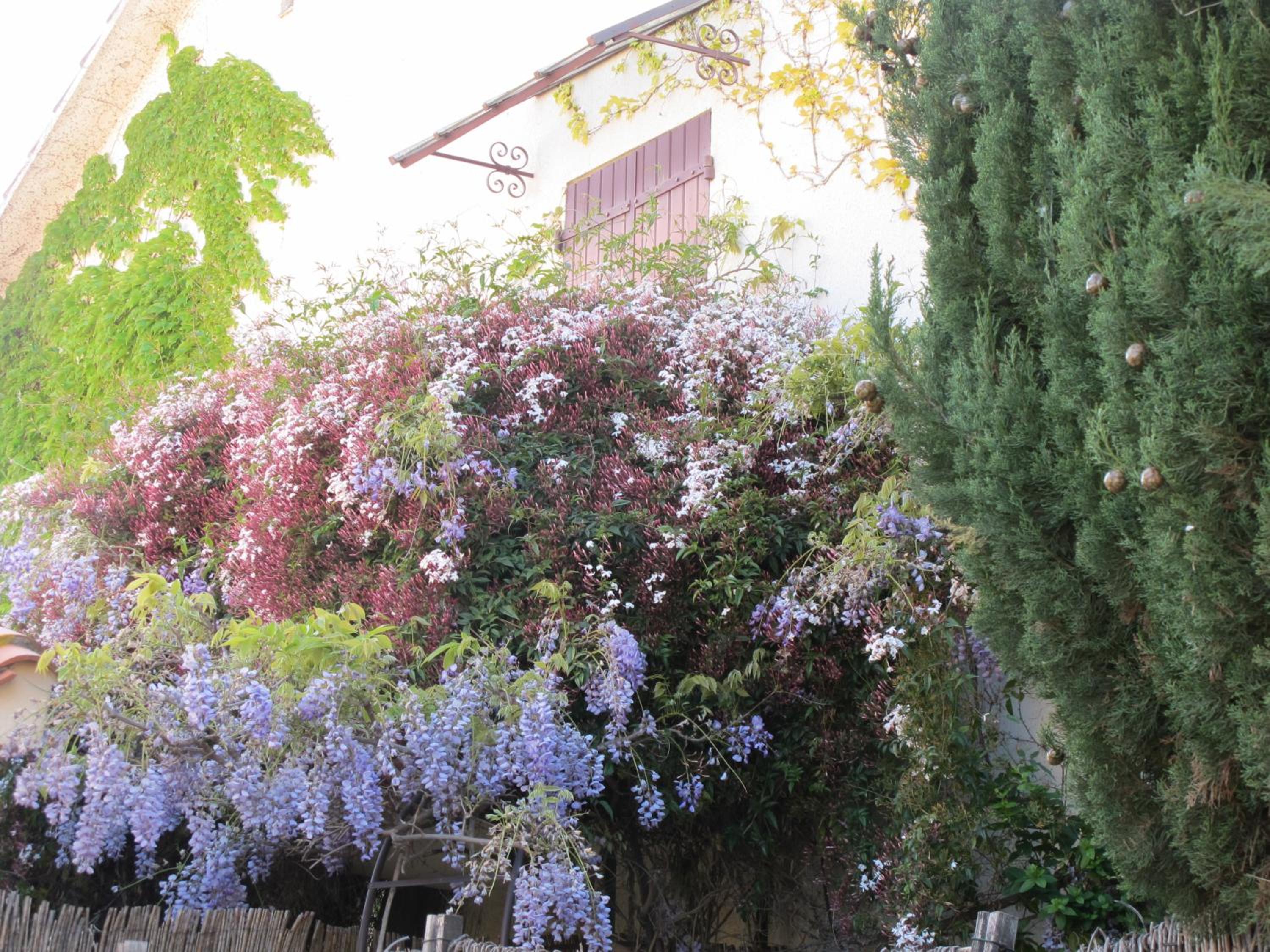 casa-tena