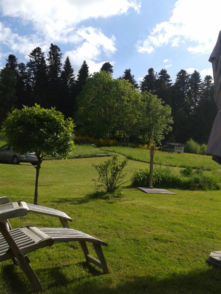Photo 33