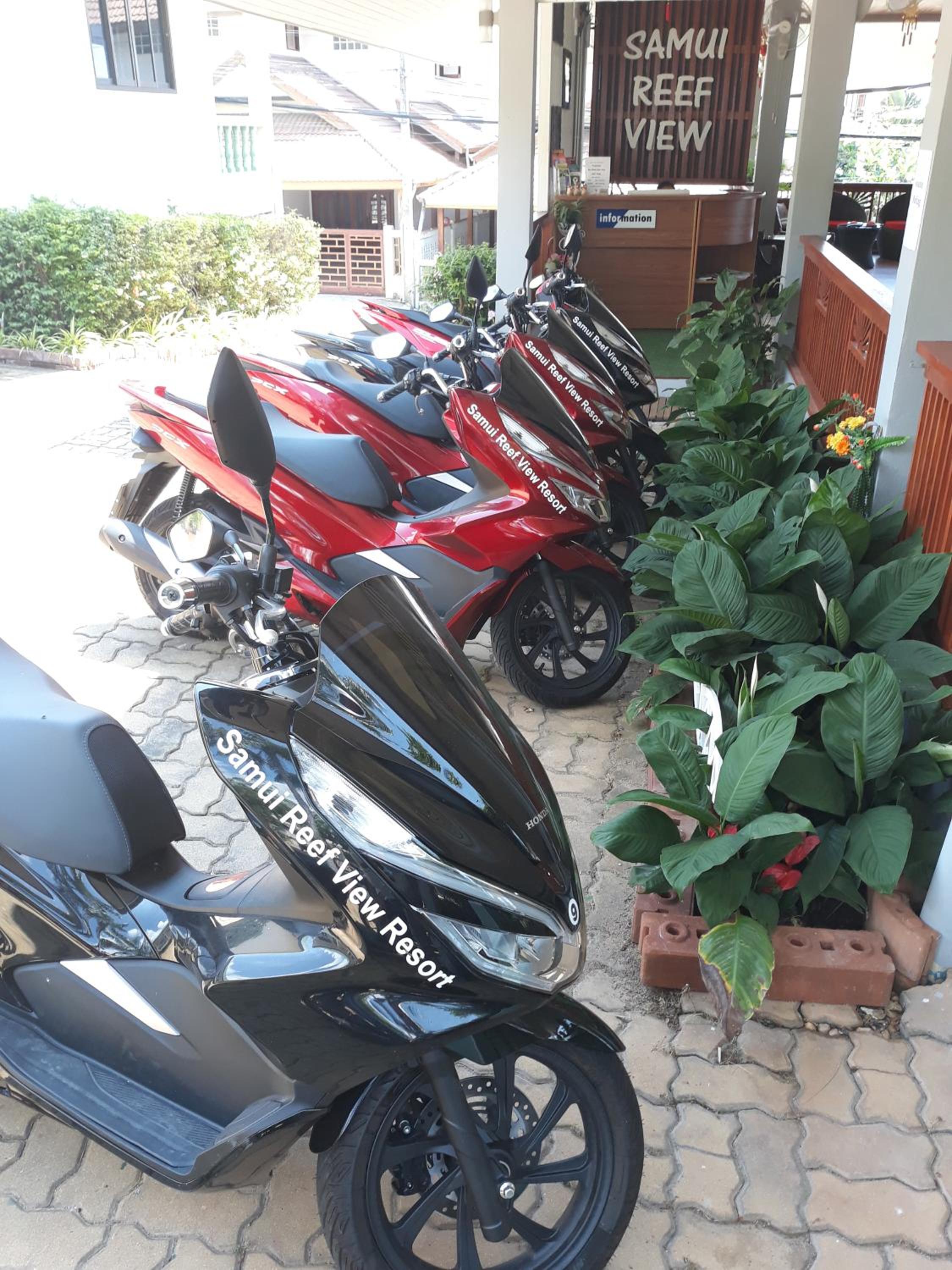 Samui Reef View Resort