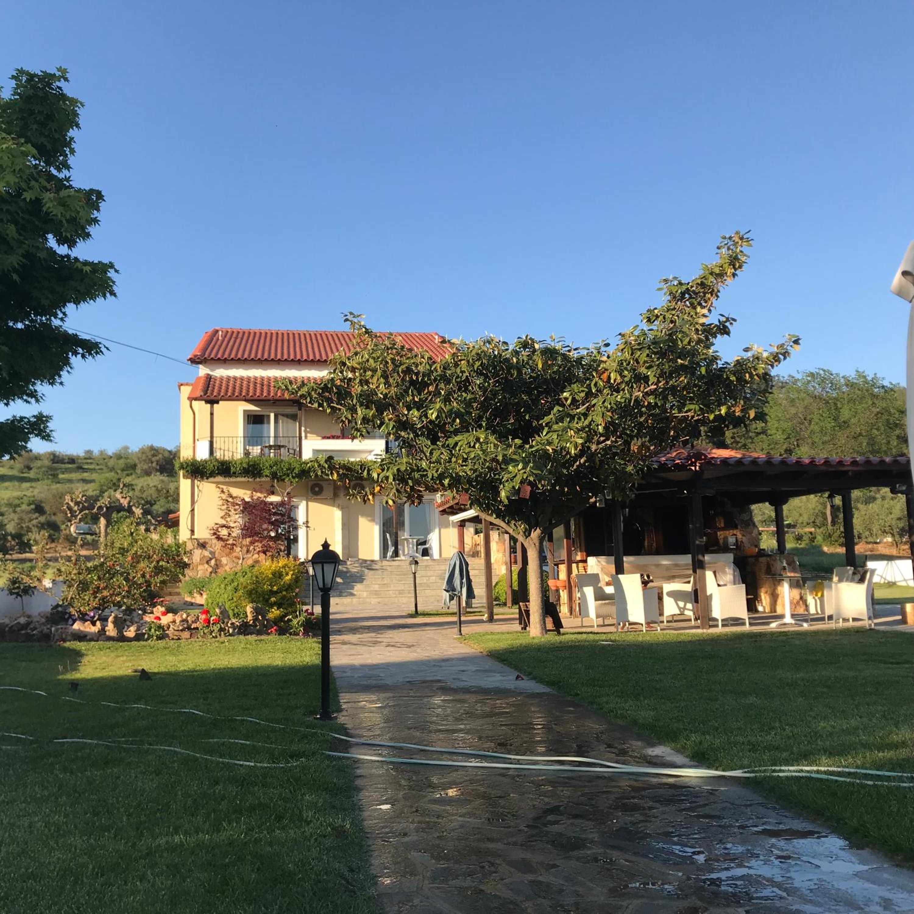 Photo 19