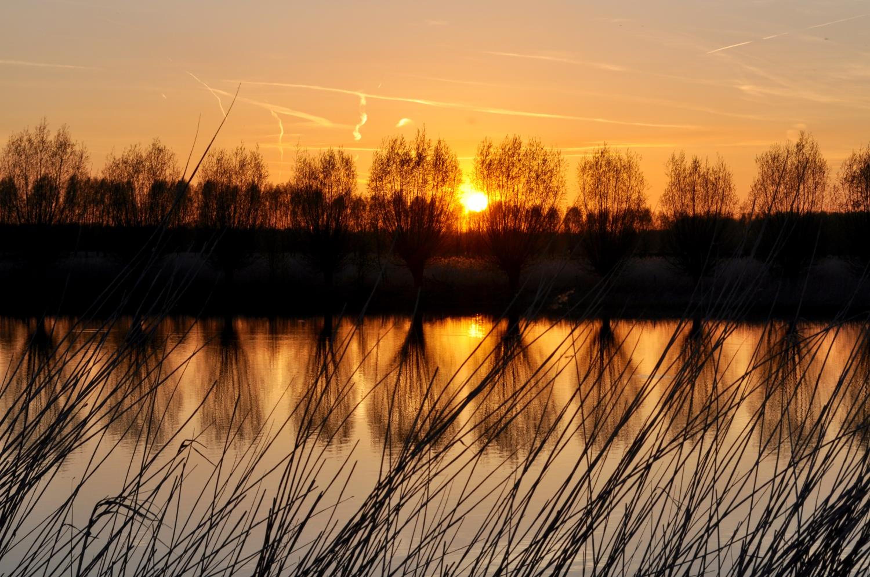 Artistiek Vakantiehuisje view 2