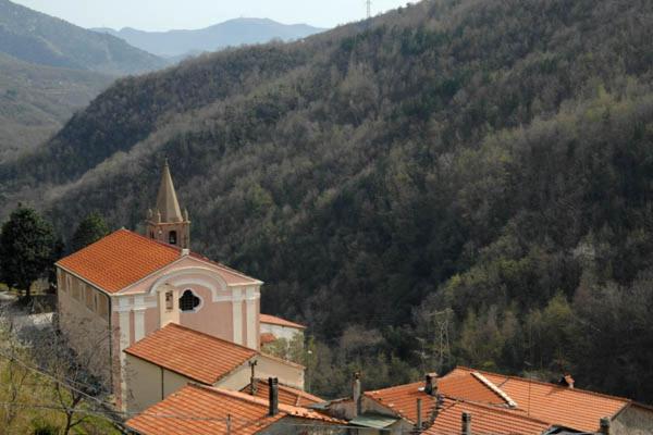 Photo 56