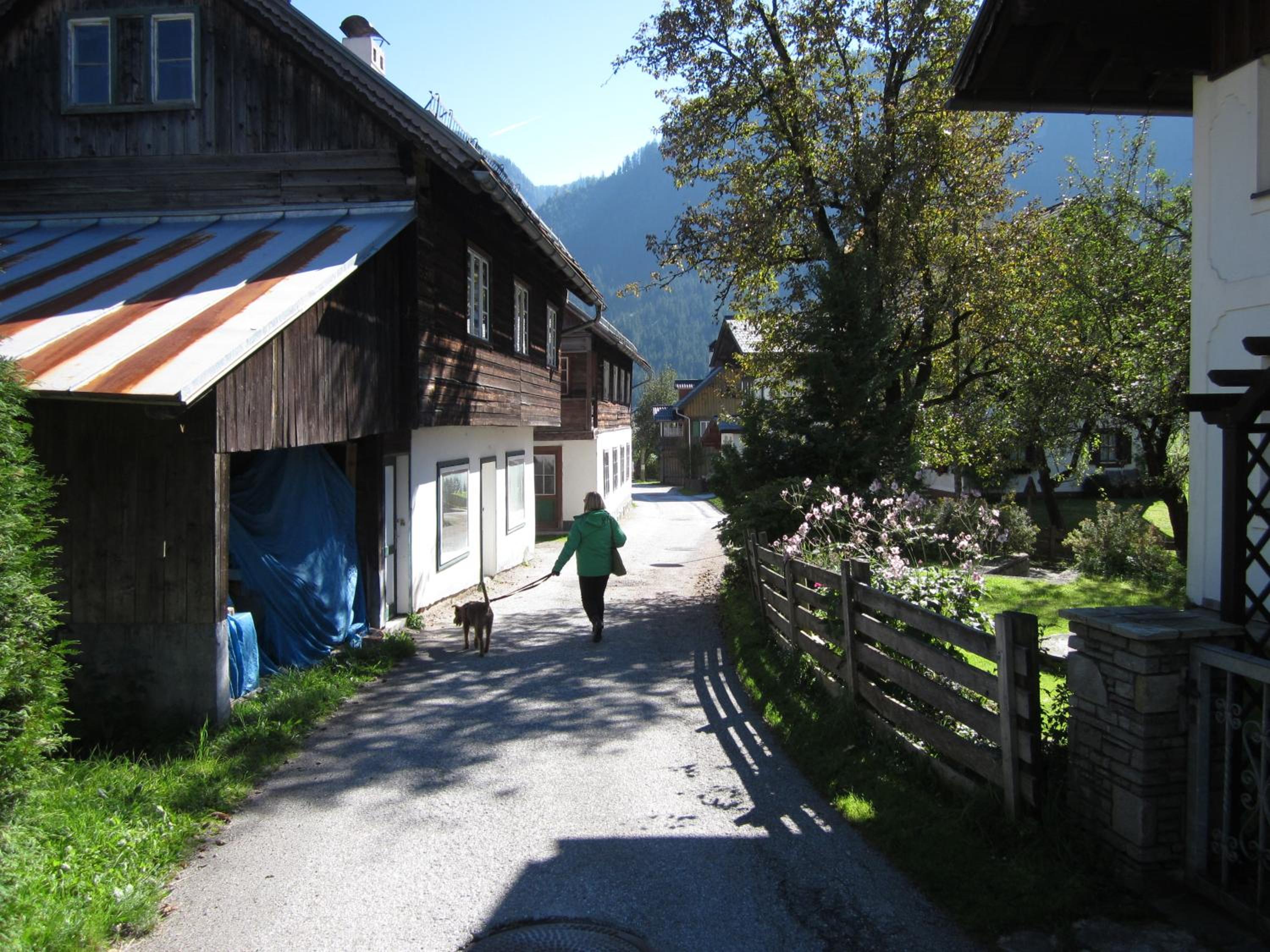 Photo 33