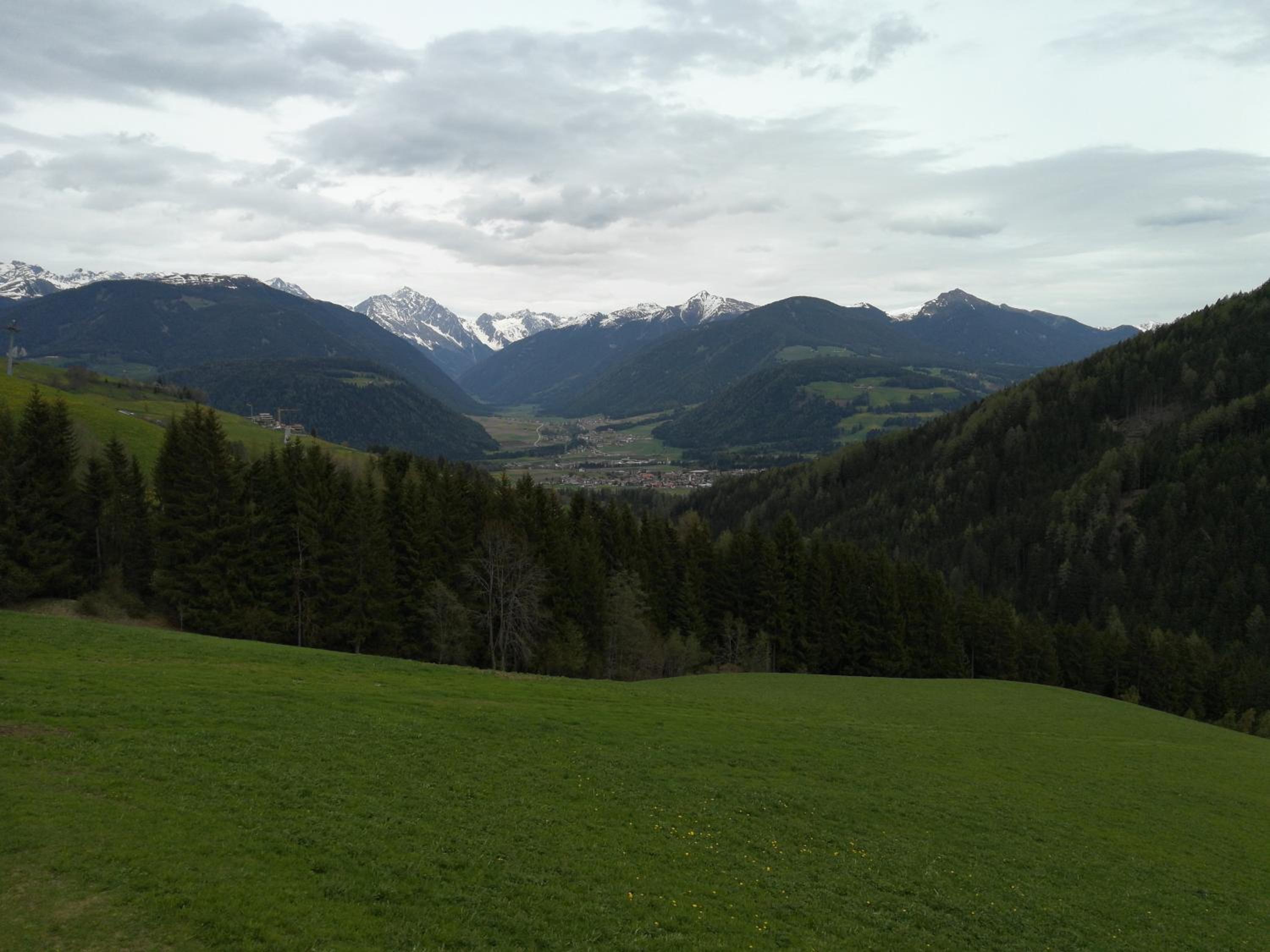 Photo 41