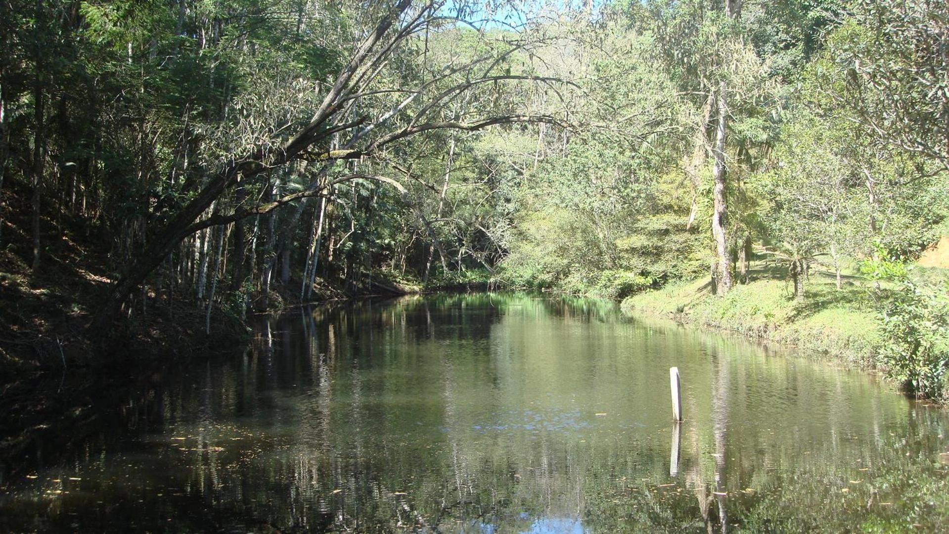 Sitio Camundongo