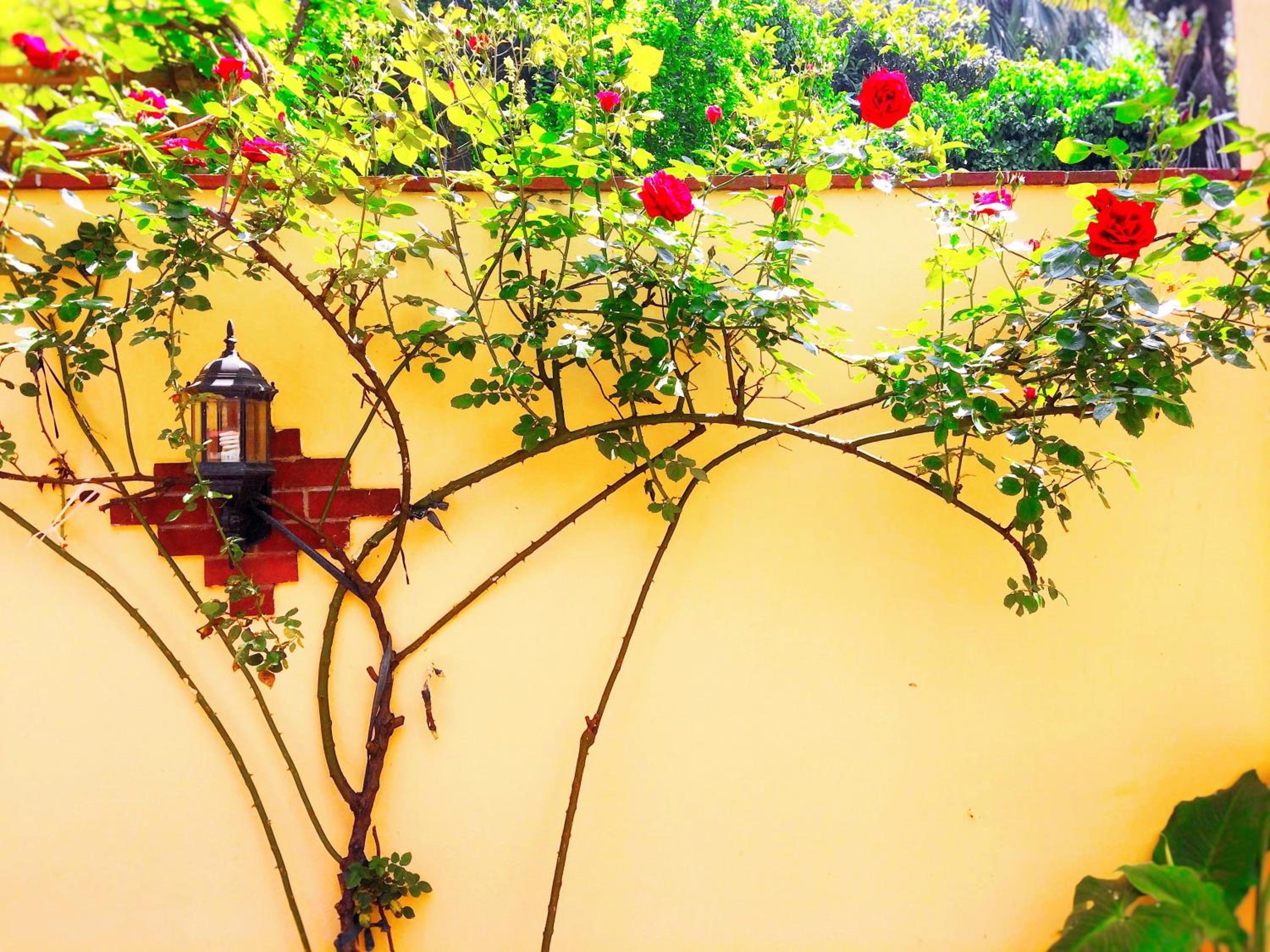 Ottoman's Pearl Otel - Image 52