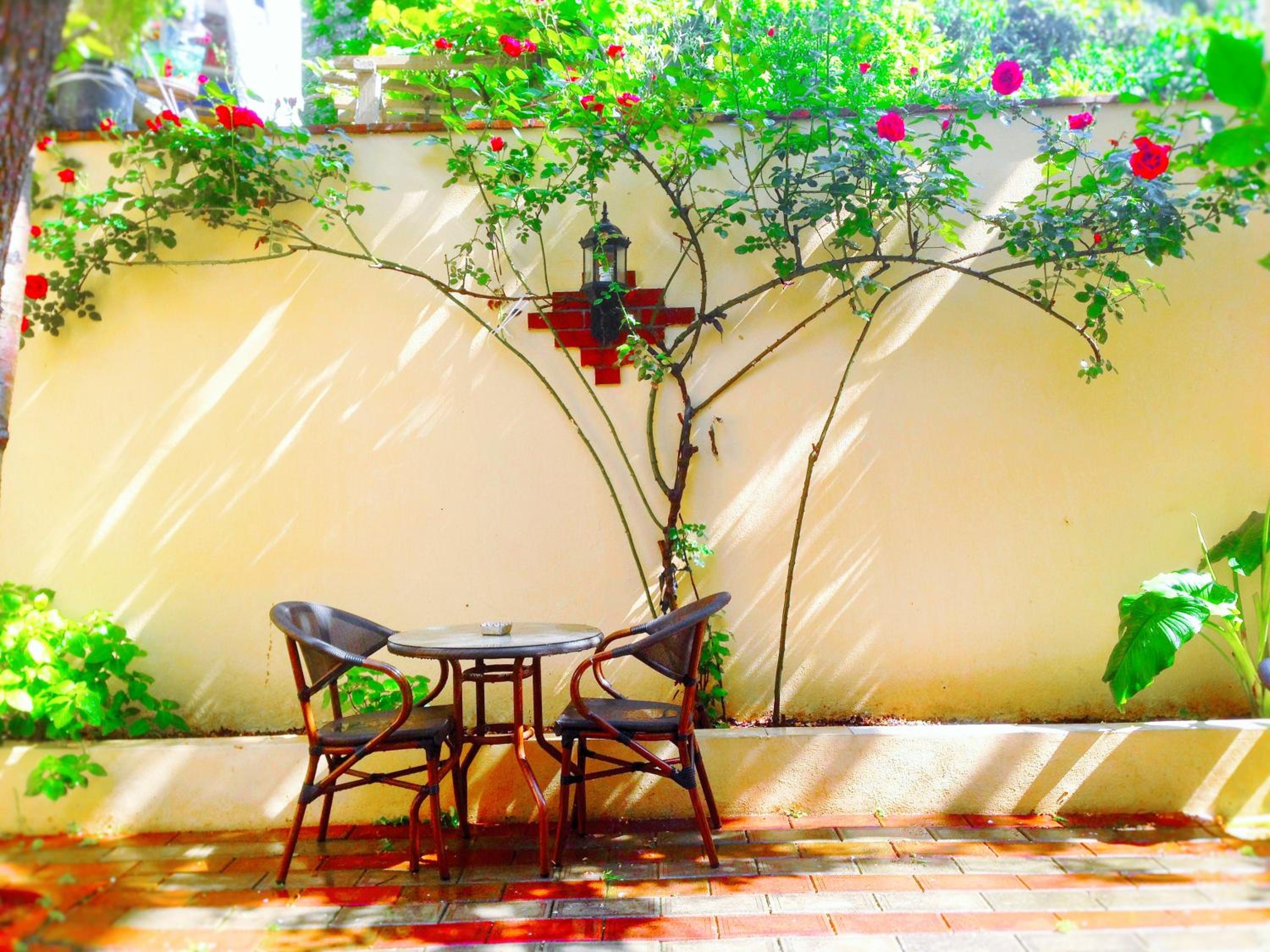 Ottoman's Pearl Otel - Image 53