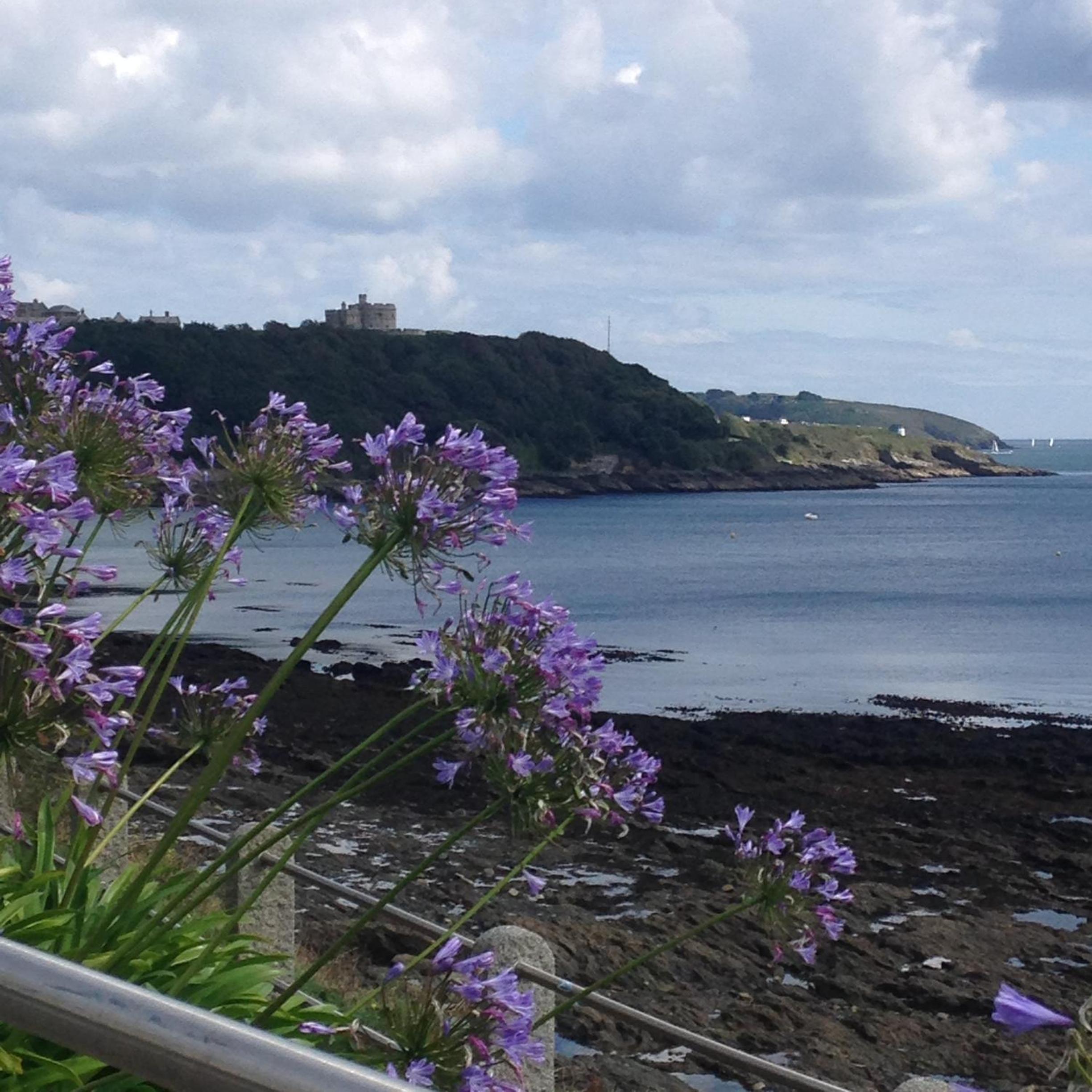 Falmouth Bay