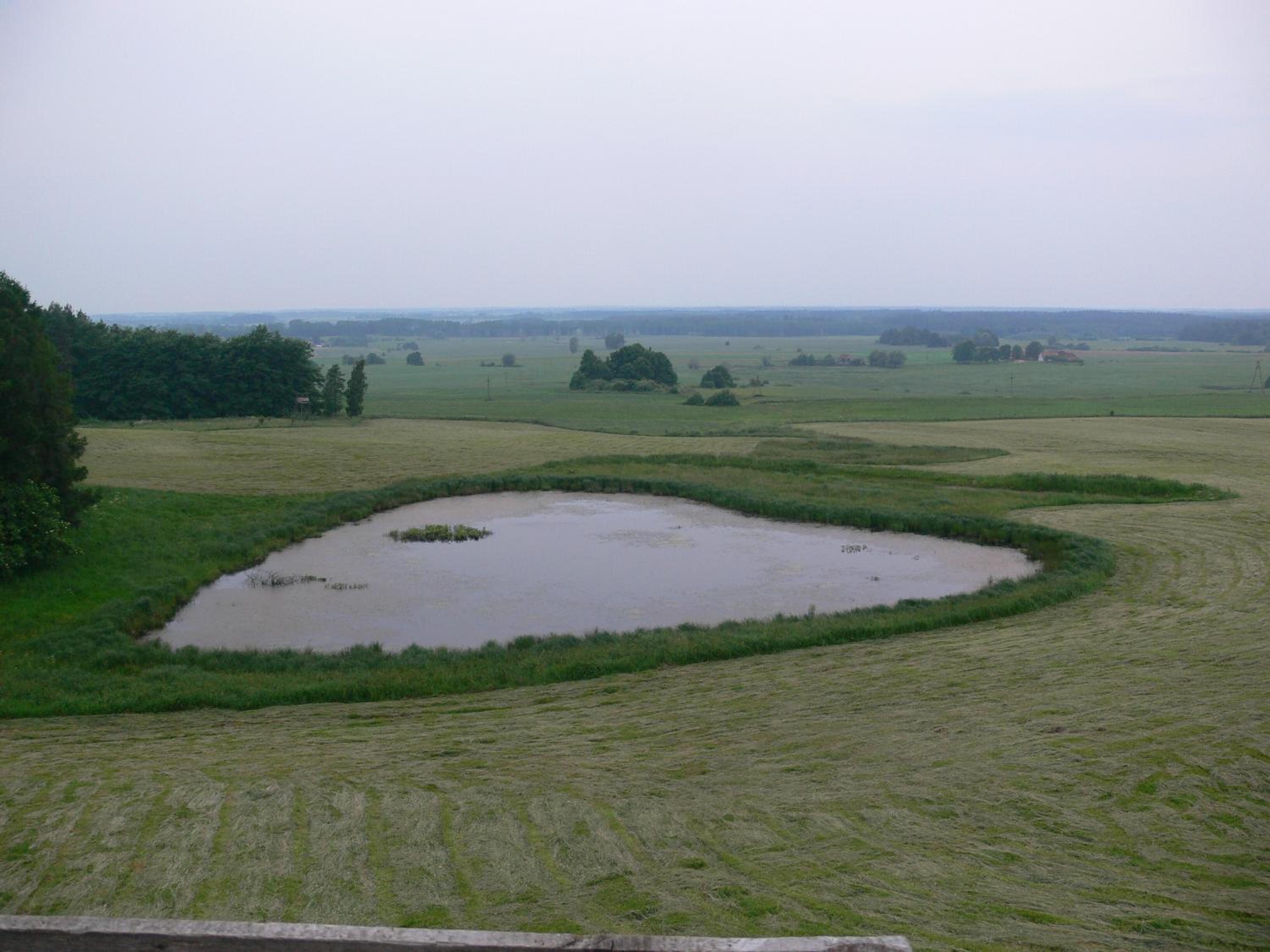 Photo 40