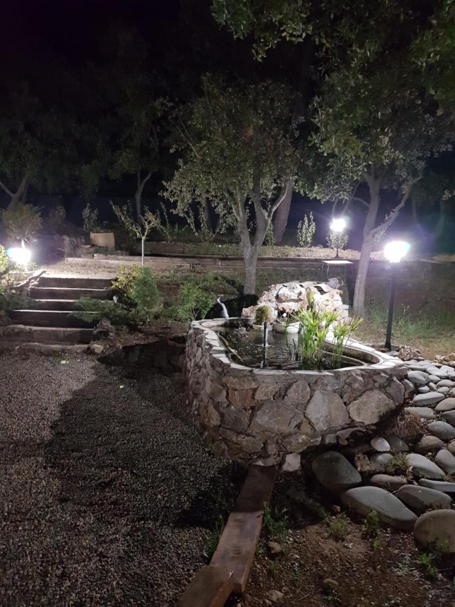 Photo 27