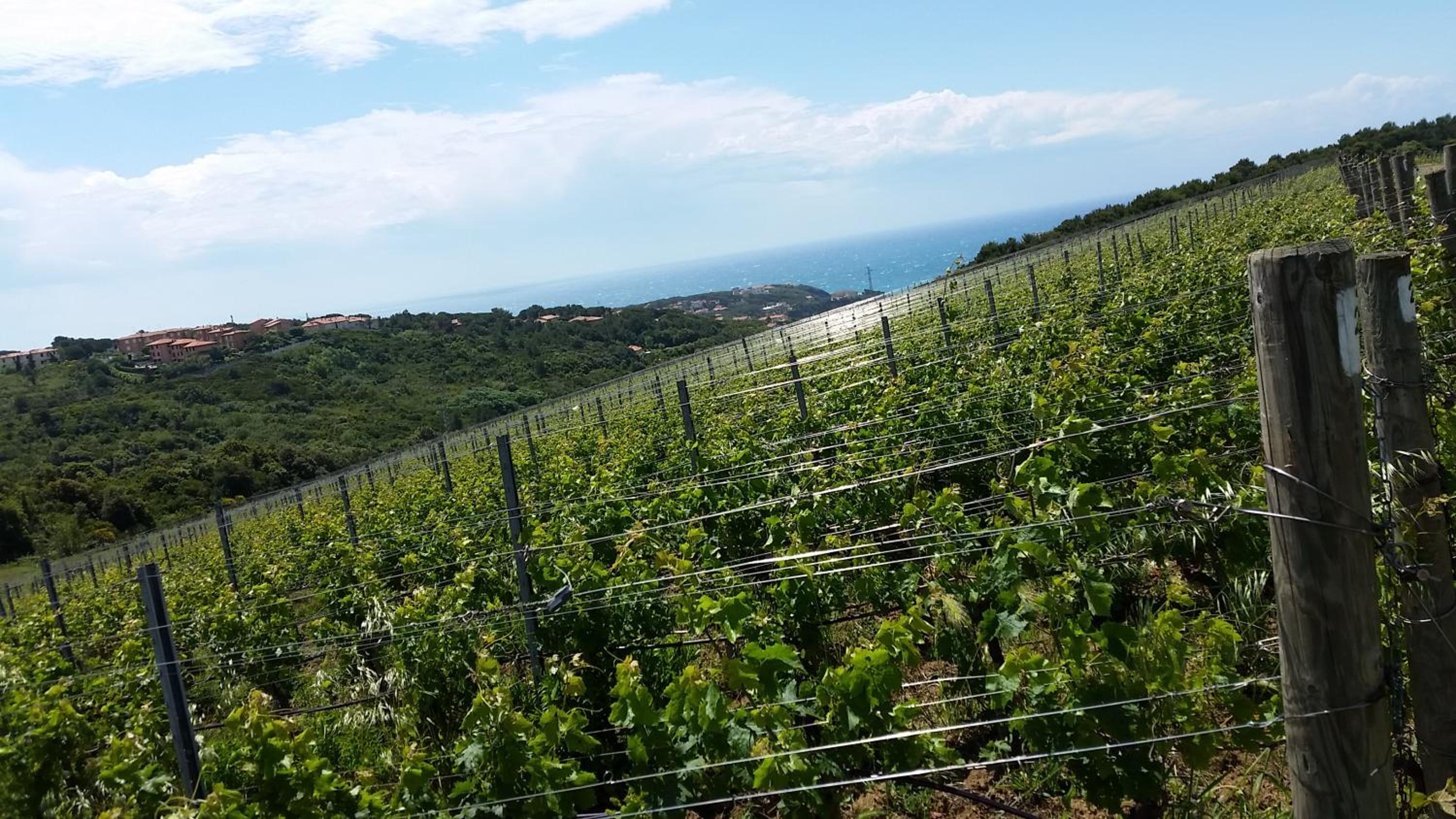 Casale del Mare
