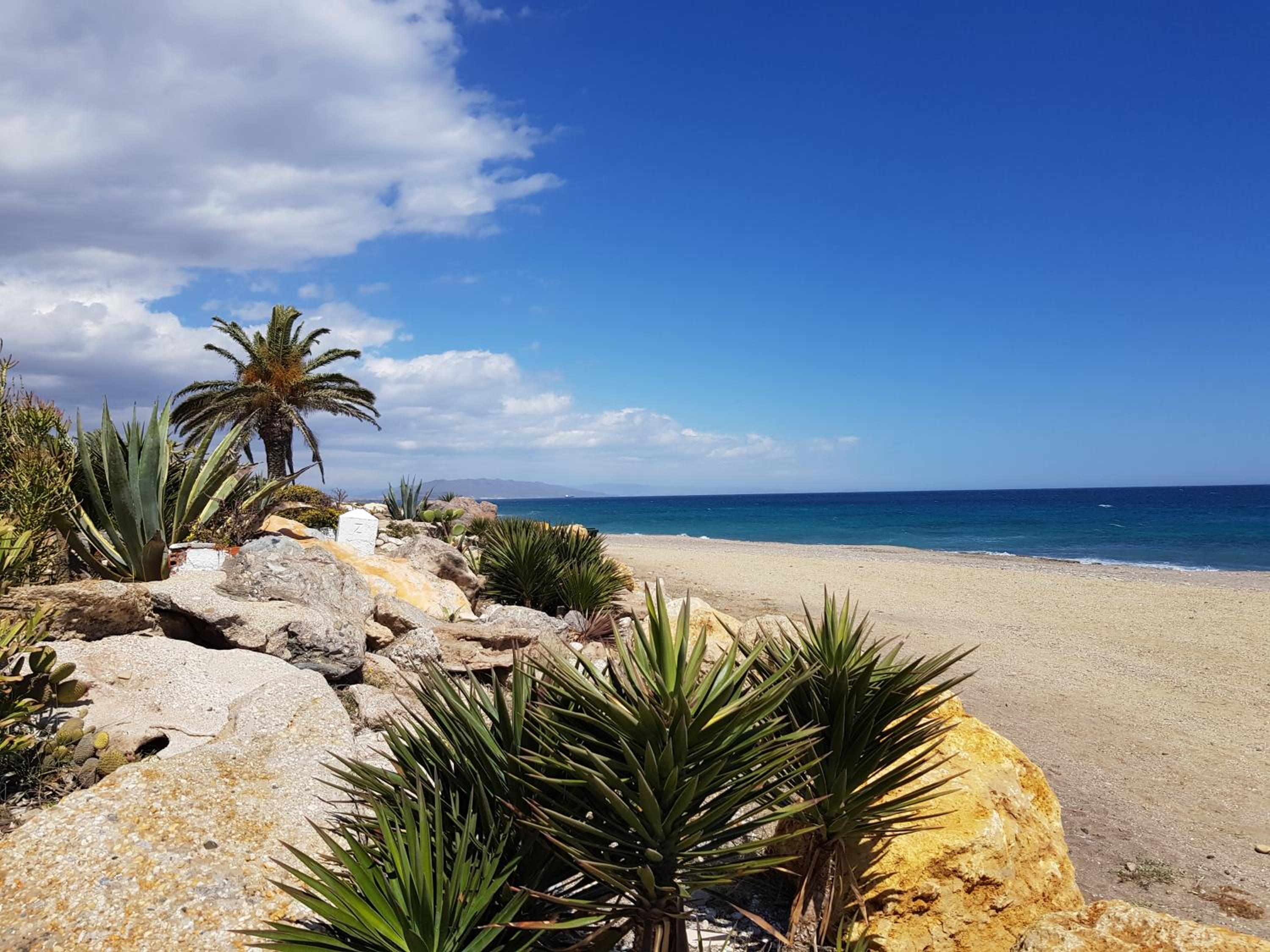 H El Palmeral Playa