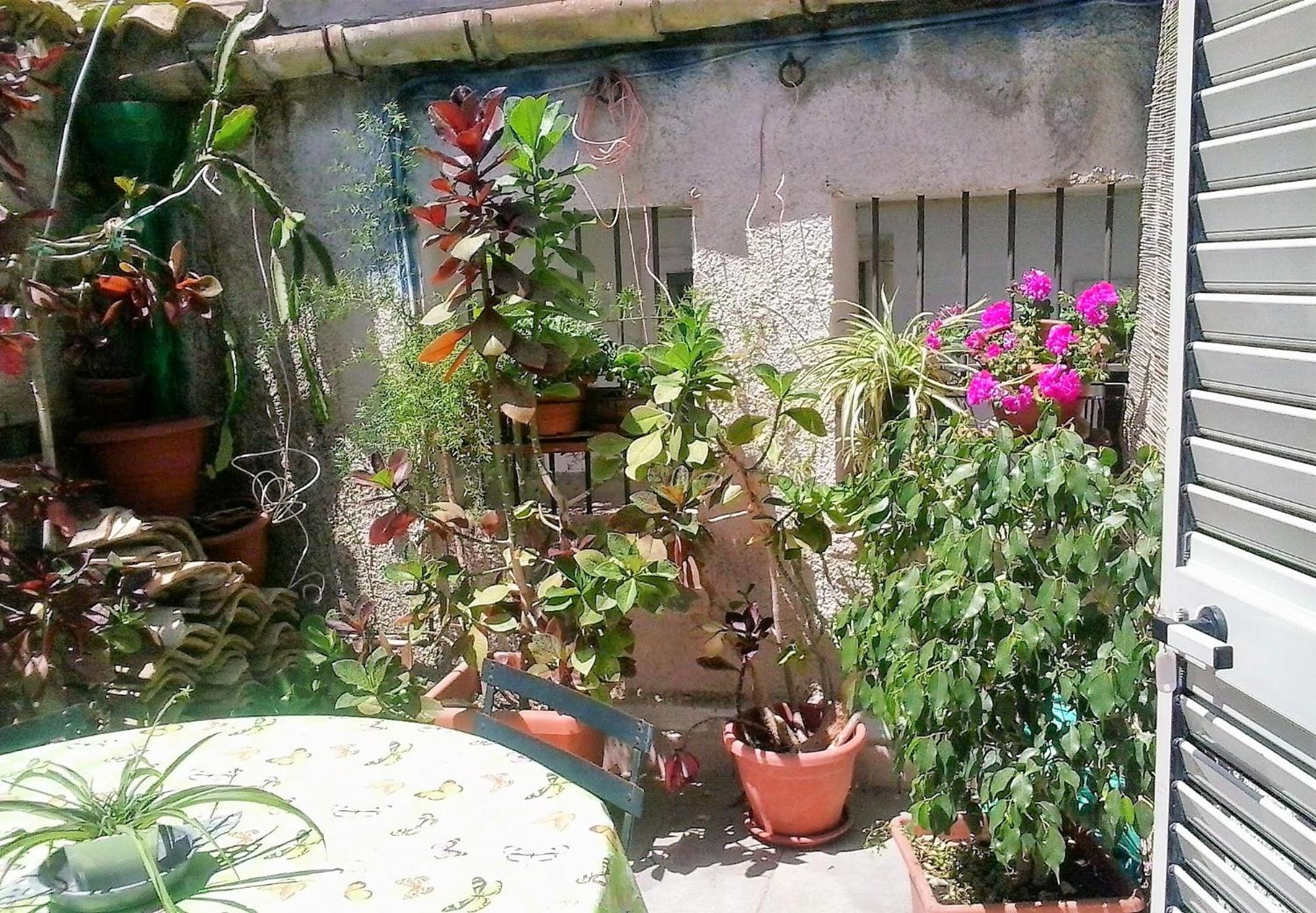Photo 35
