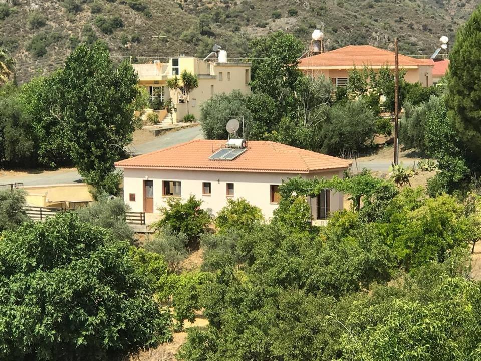 Evie's House Arakapas