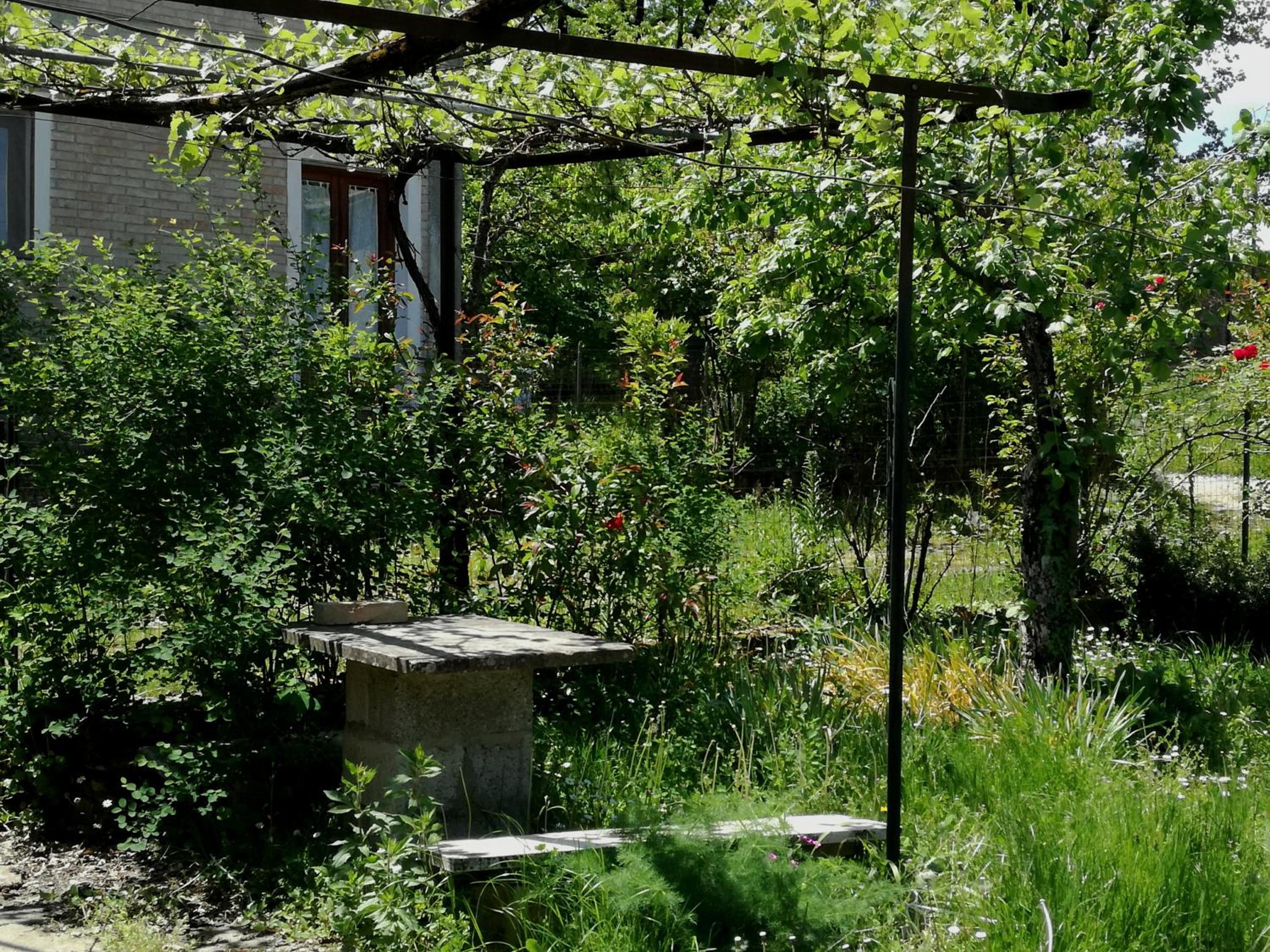 Photo 6