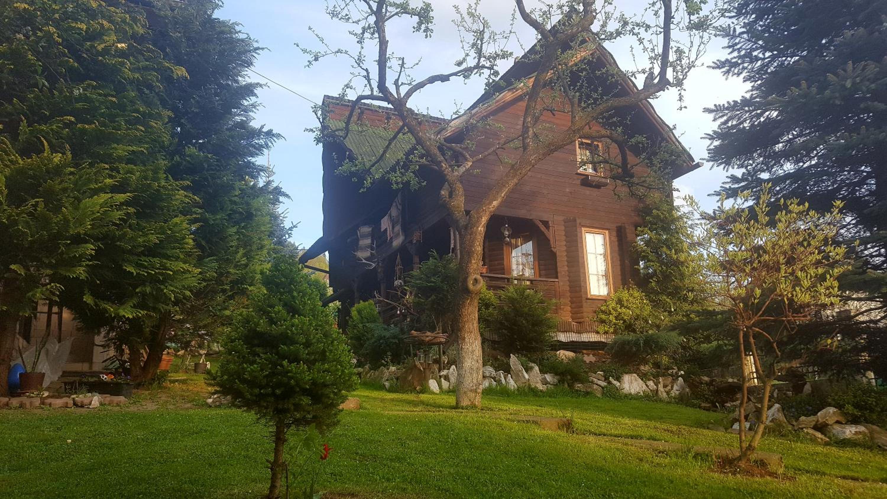Photo 22