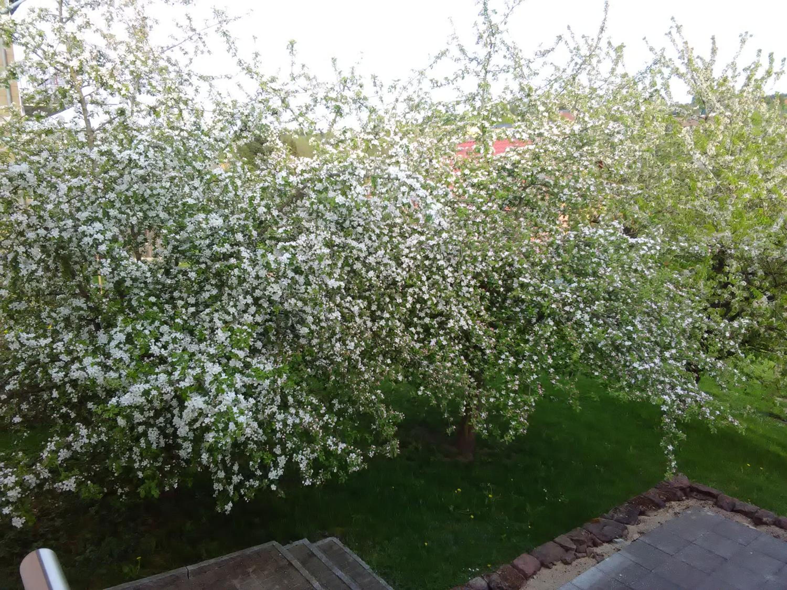Ferienwohnung Barzen view 2