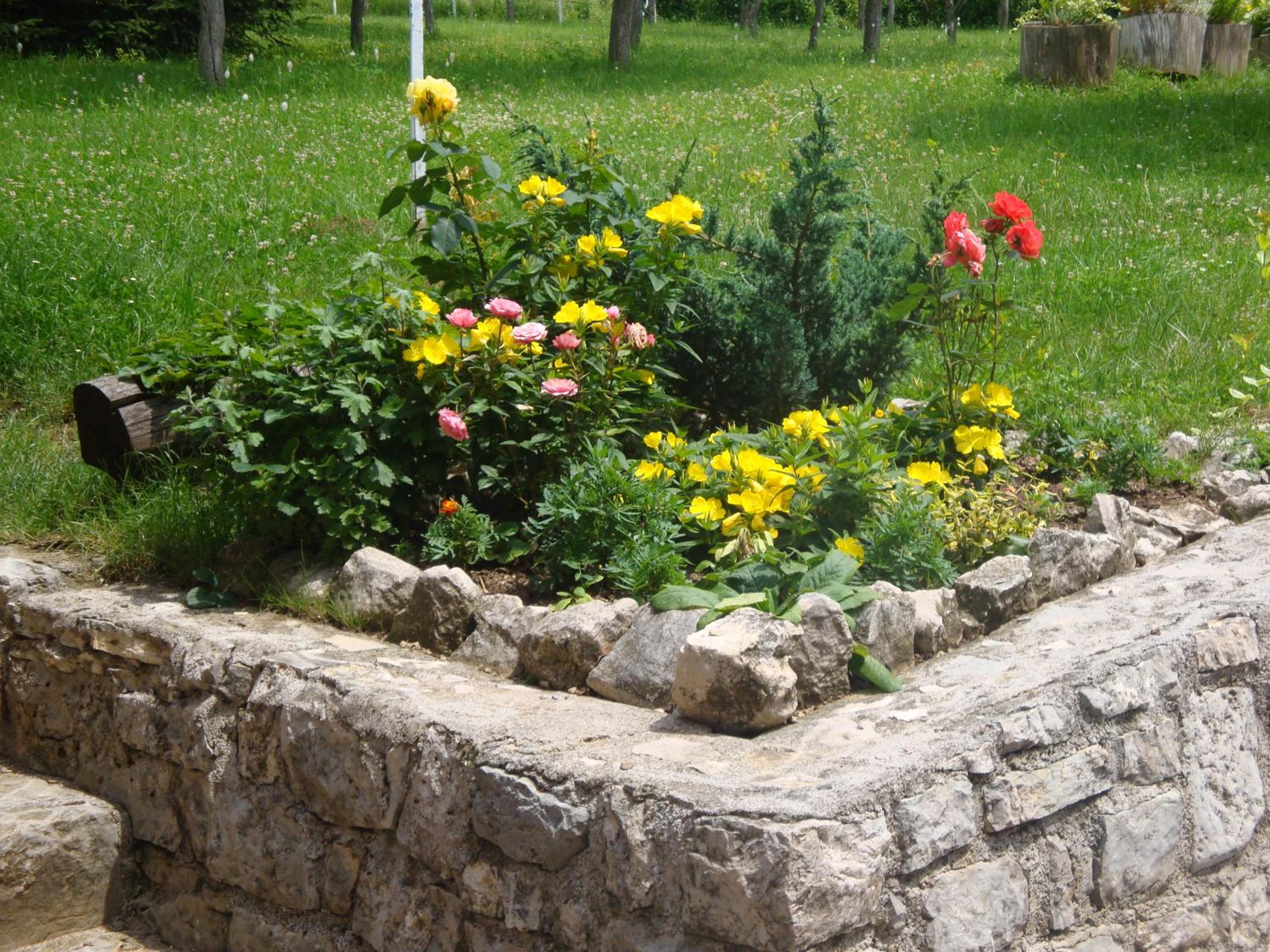 Photo 29