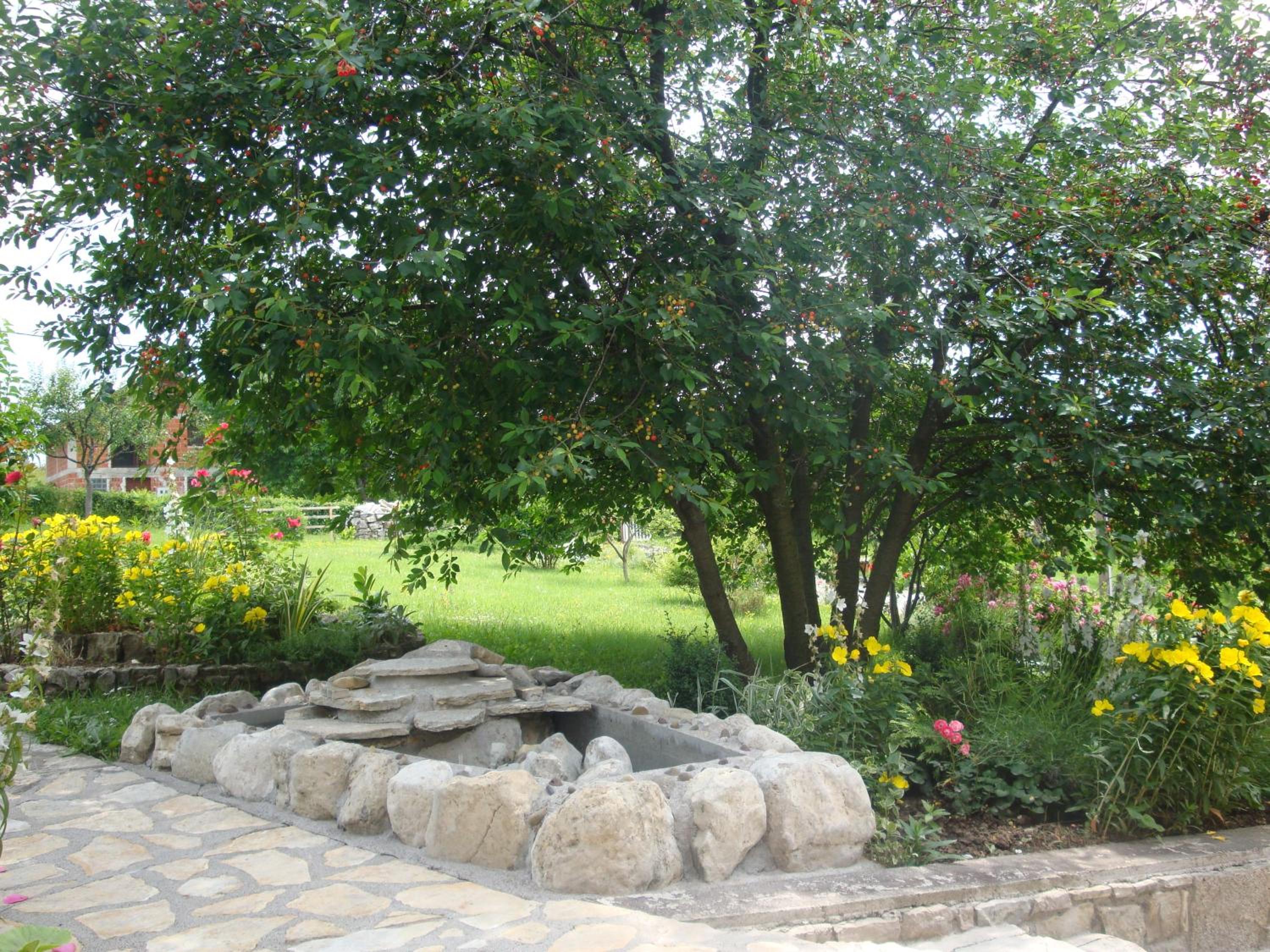 Photo 34
