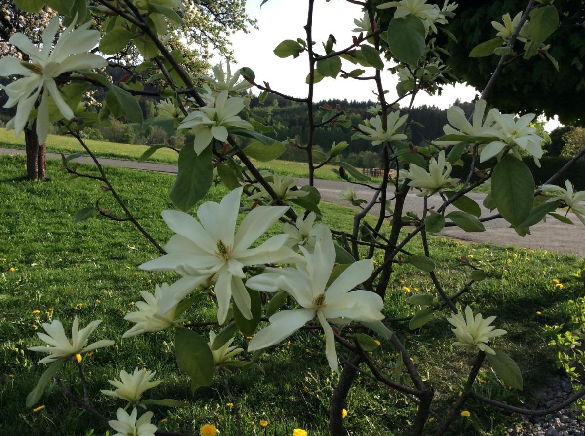 Ferienbauernhof Koller (Familie Hofer) - Urlaub am Bauernhof
