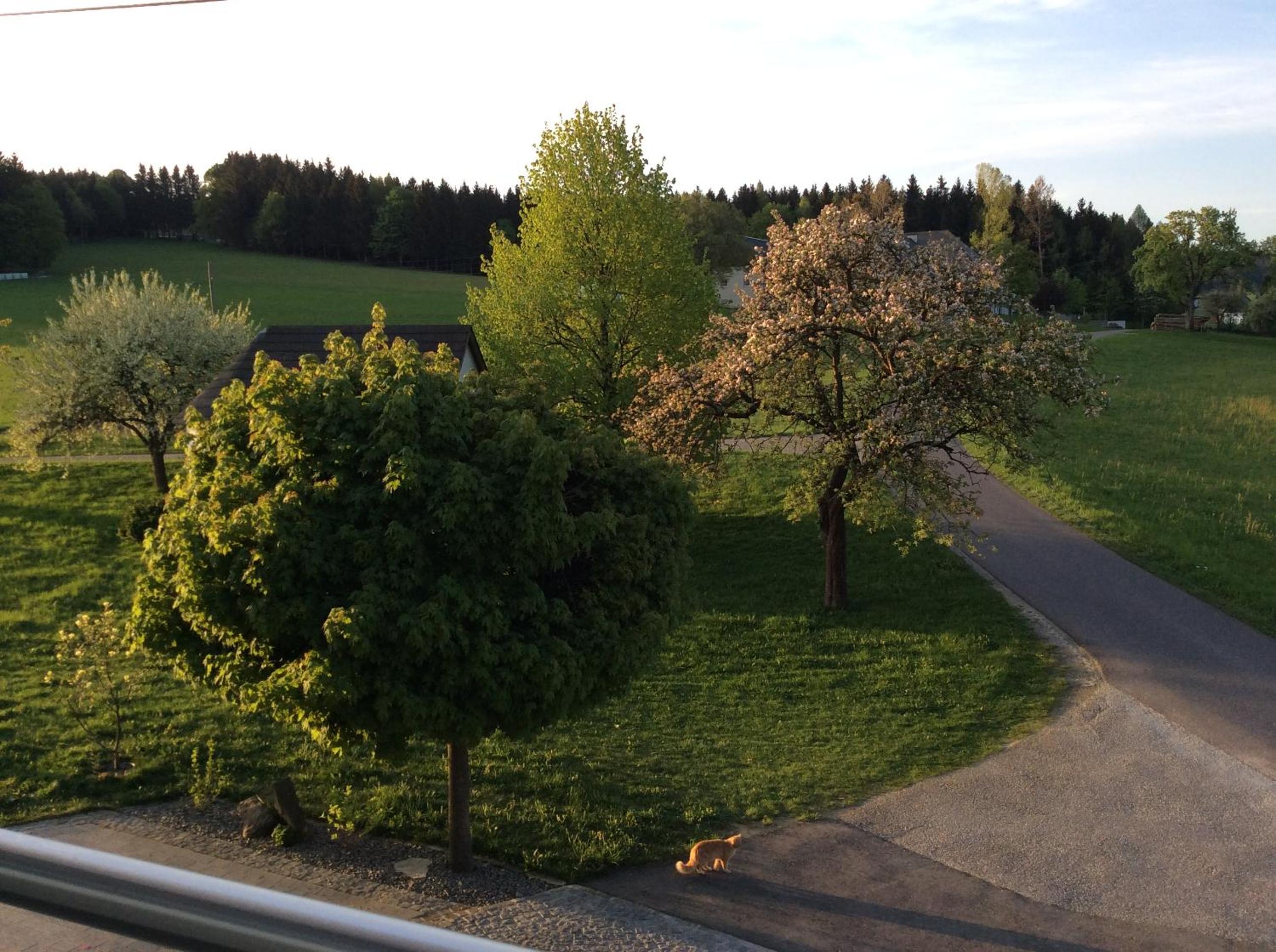 Ferienbauernhof Koller (Familie Hofer) - Urlaub am Bauernhof