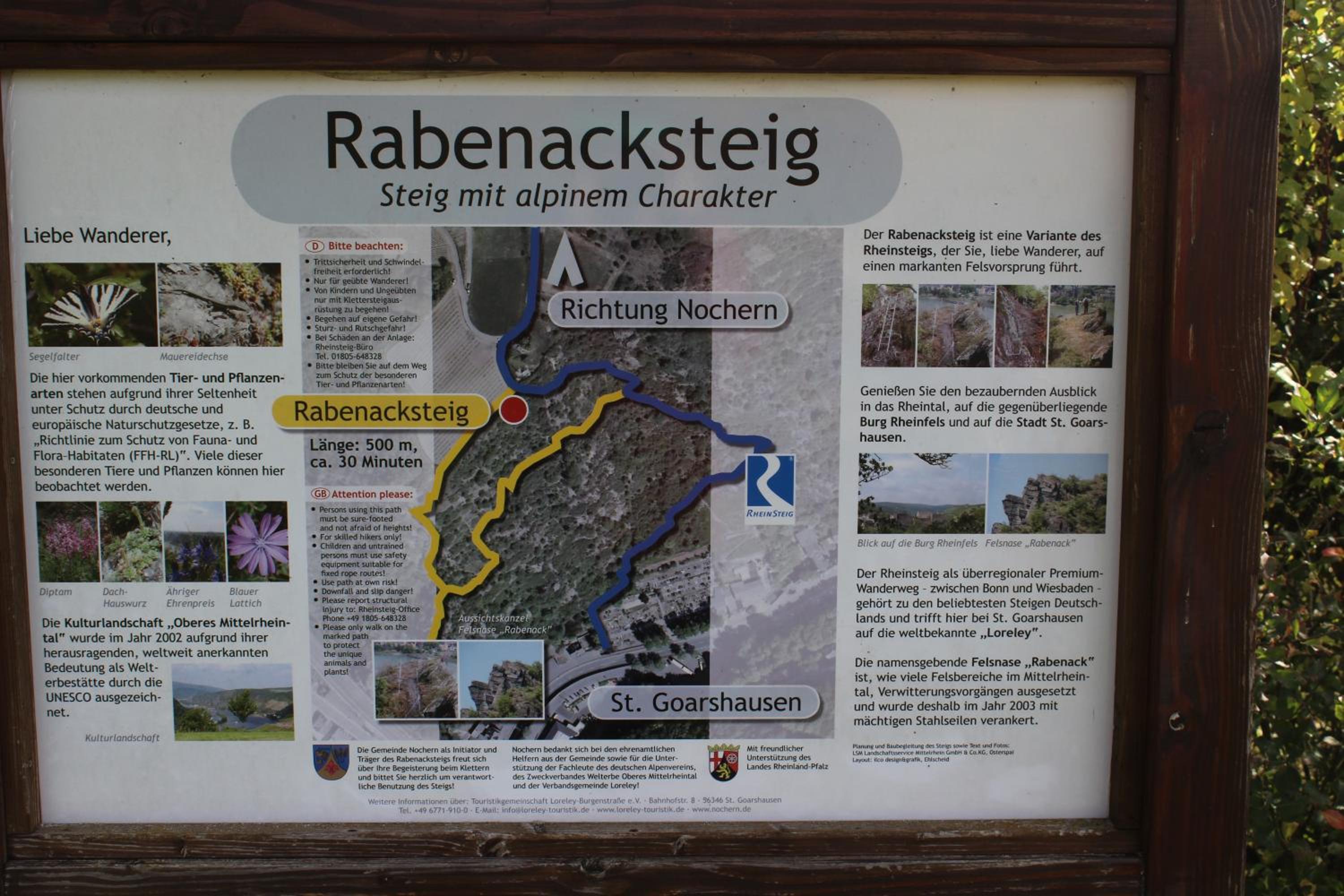Ferienwohnung Loreley