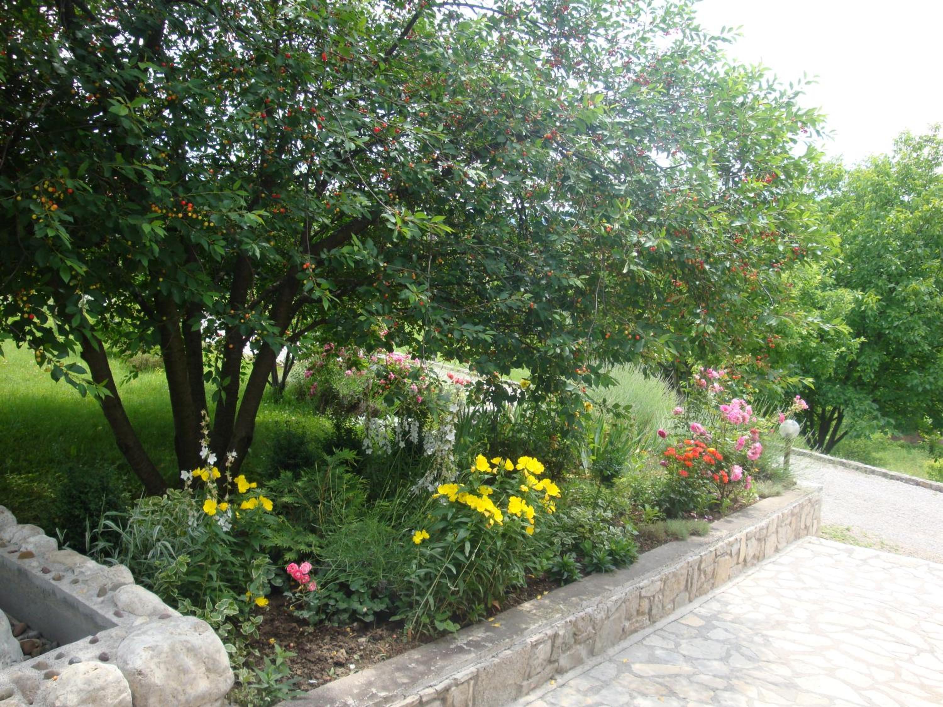 Photo 35