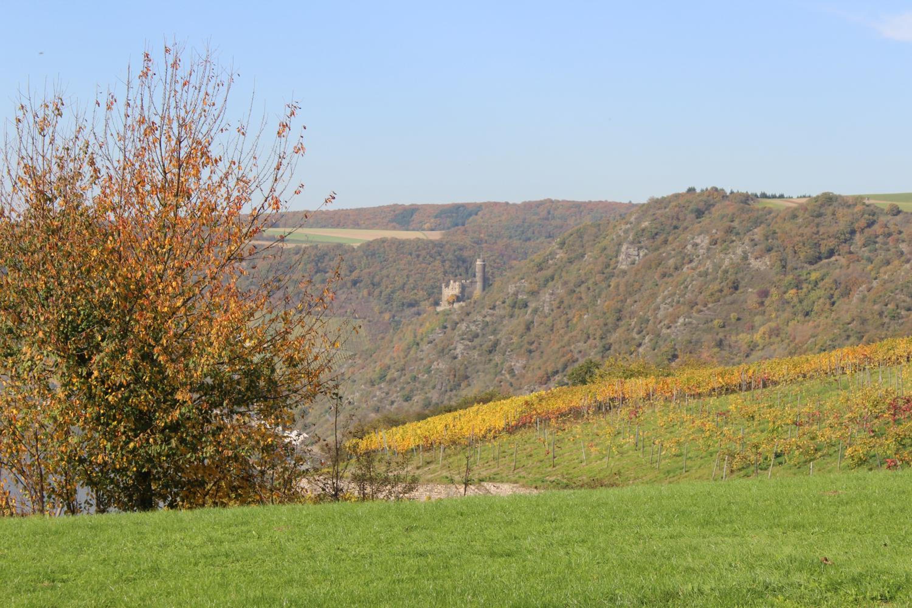 Ferienwohnung Loreley