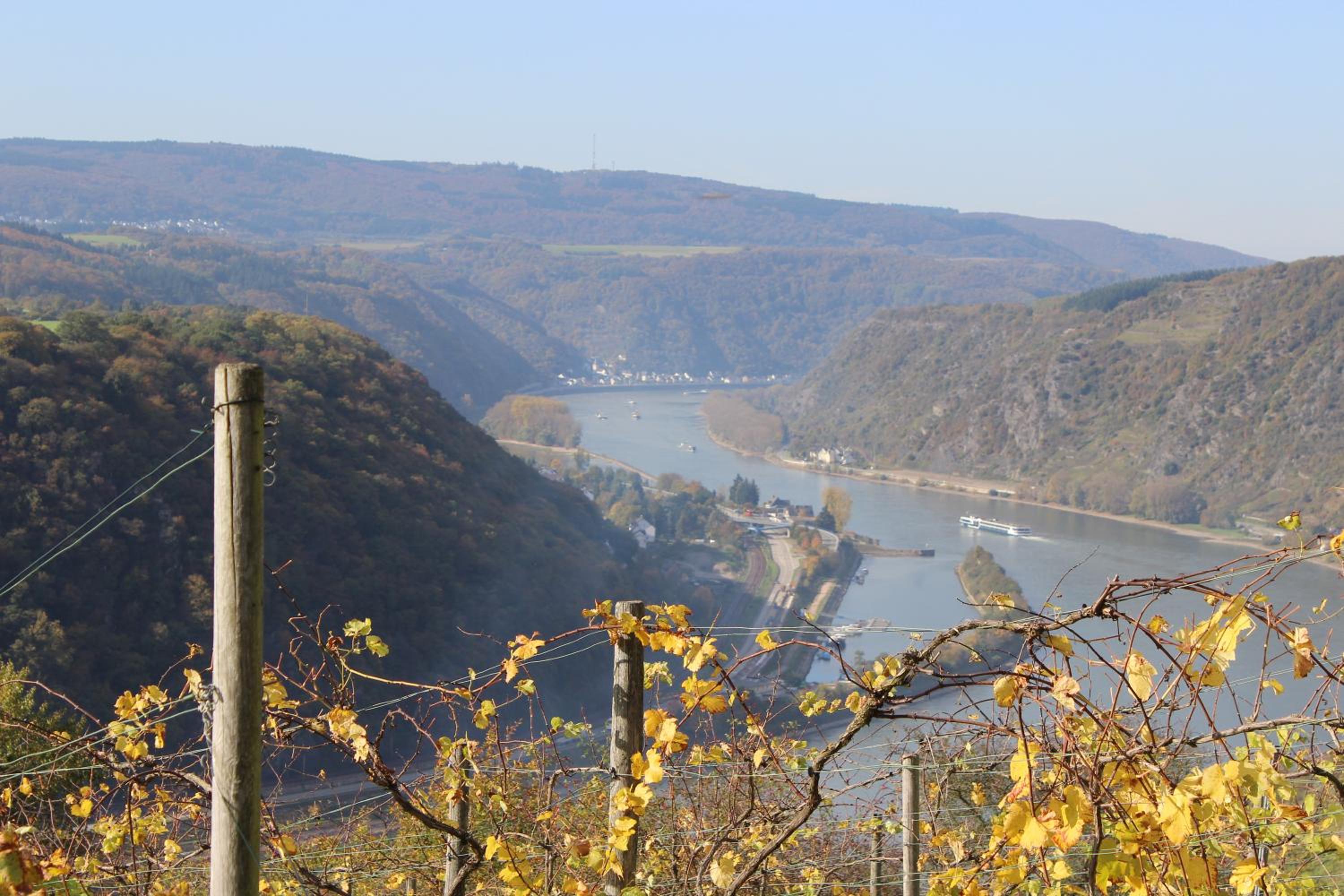 Ferienwohnung Loreley