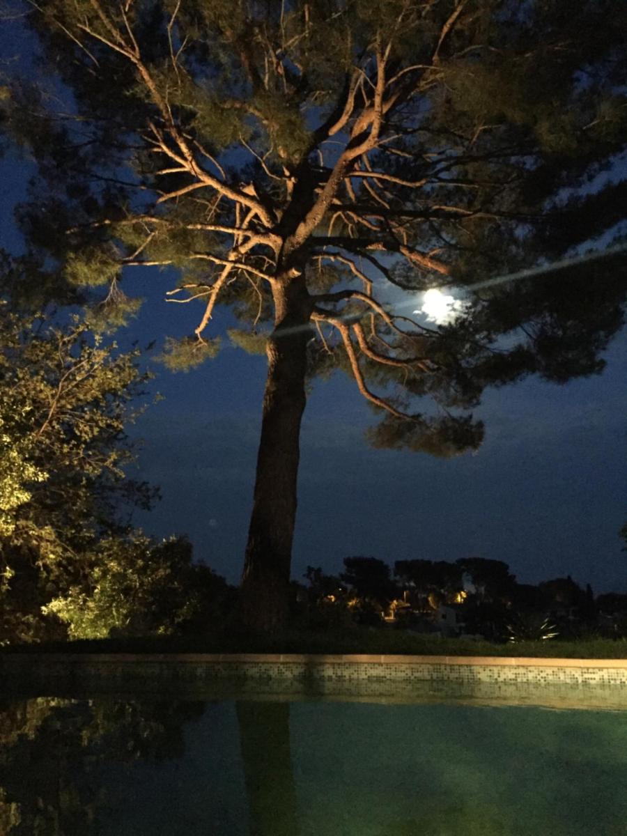 Villa Ginevra photo 3