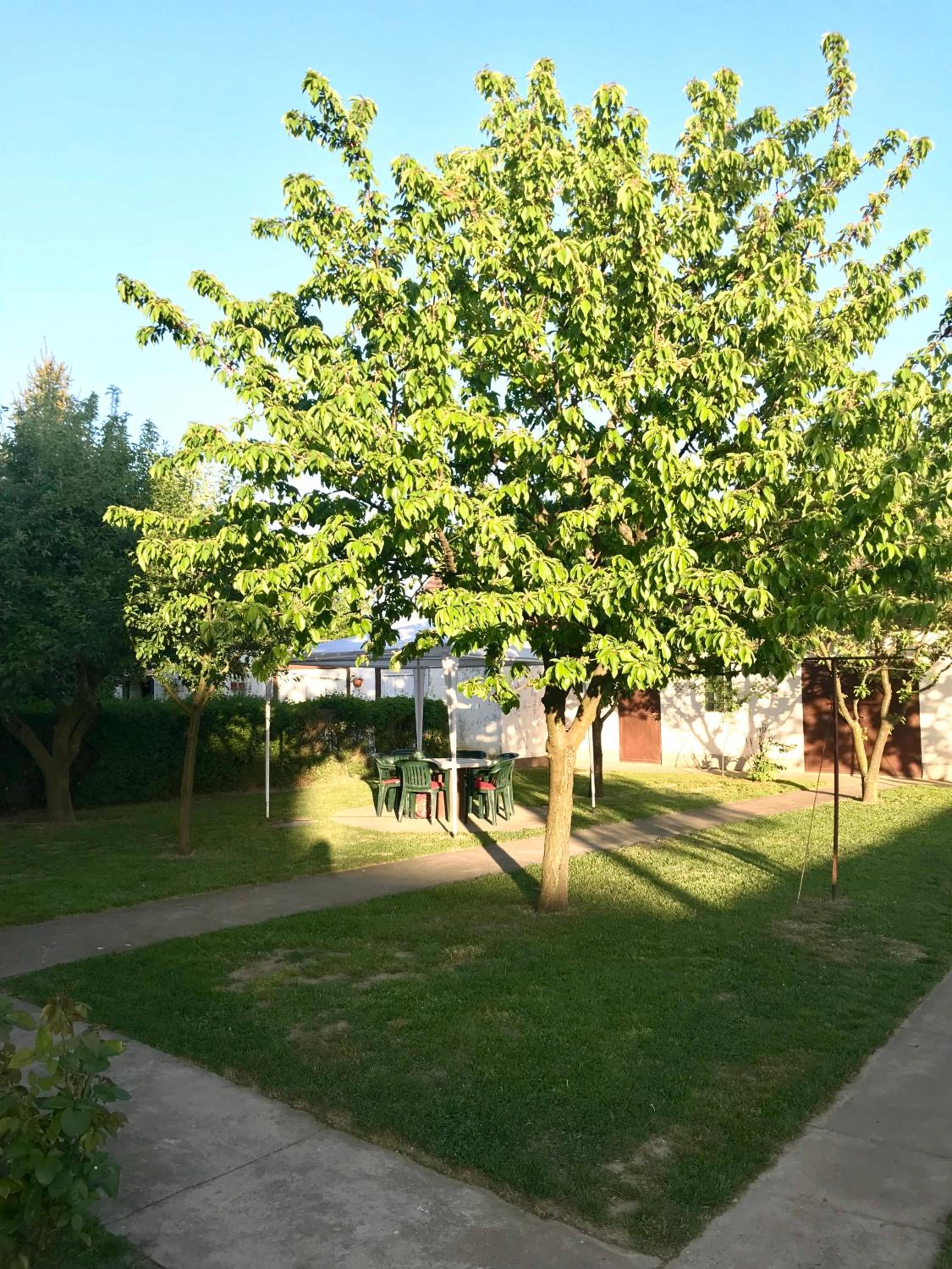 Photo 22