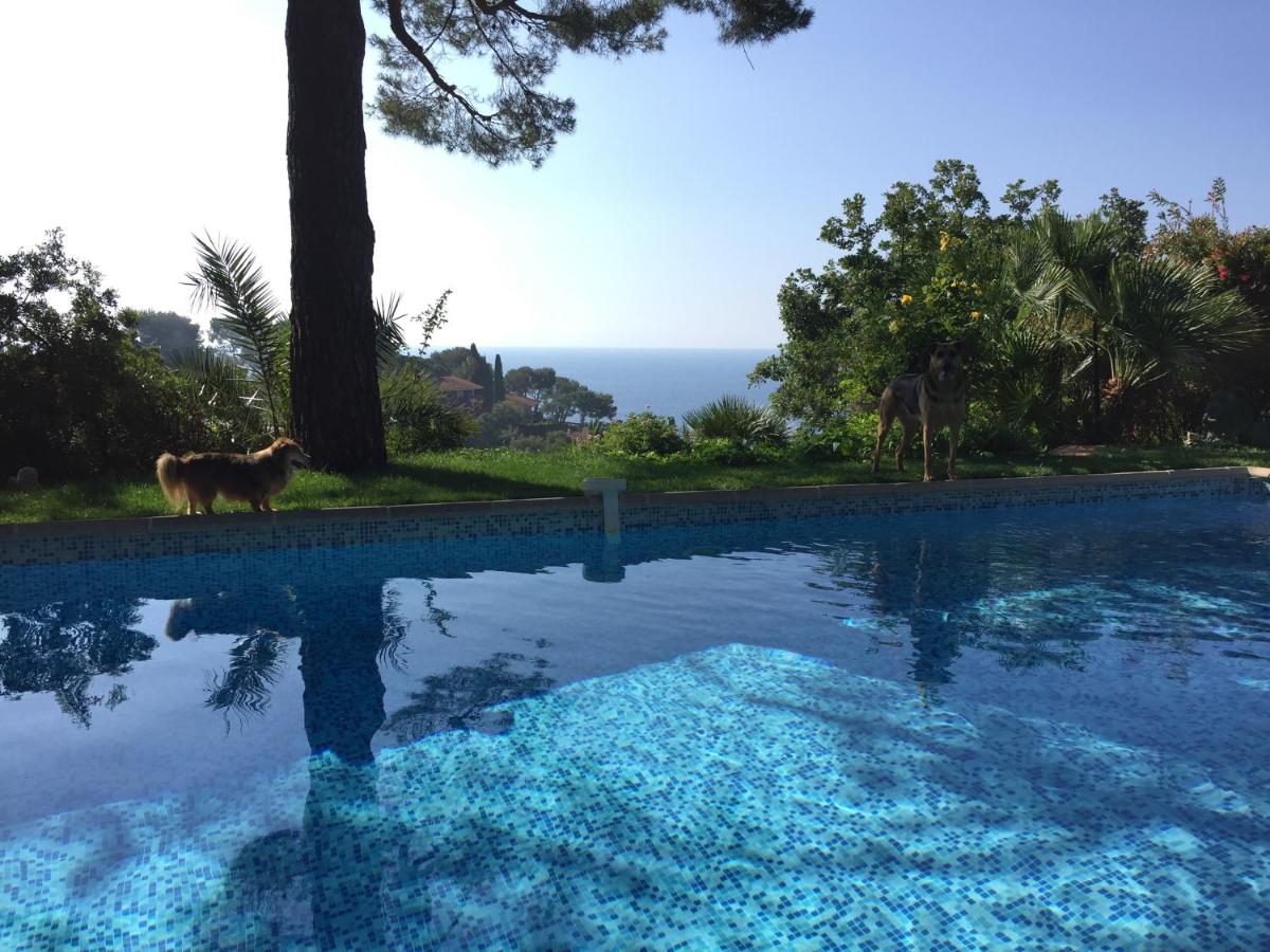 Hotel Villa Ginevra - Image 1