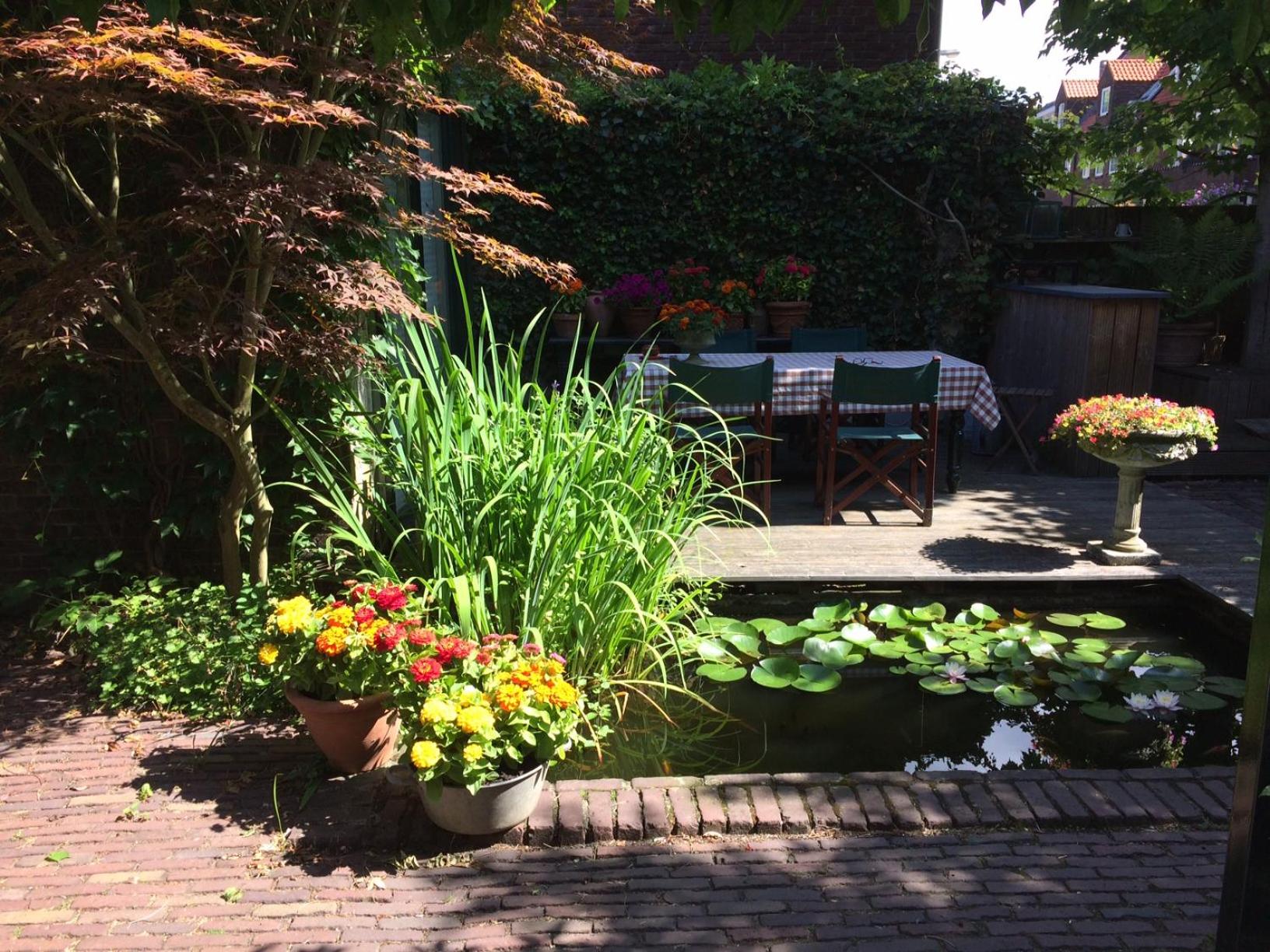 Photo 14