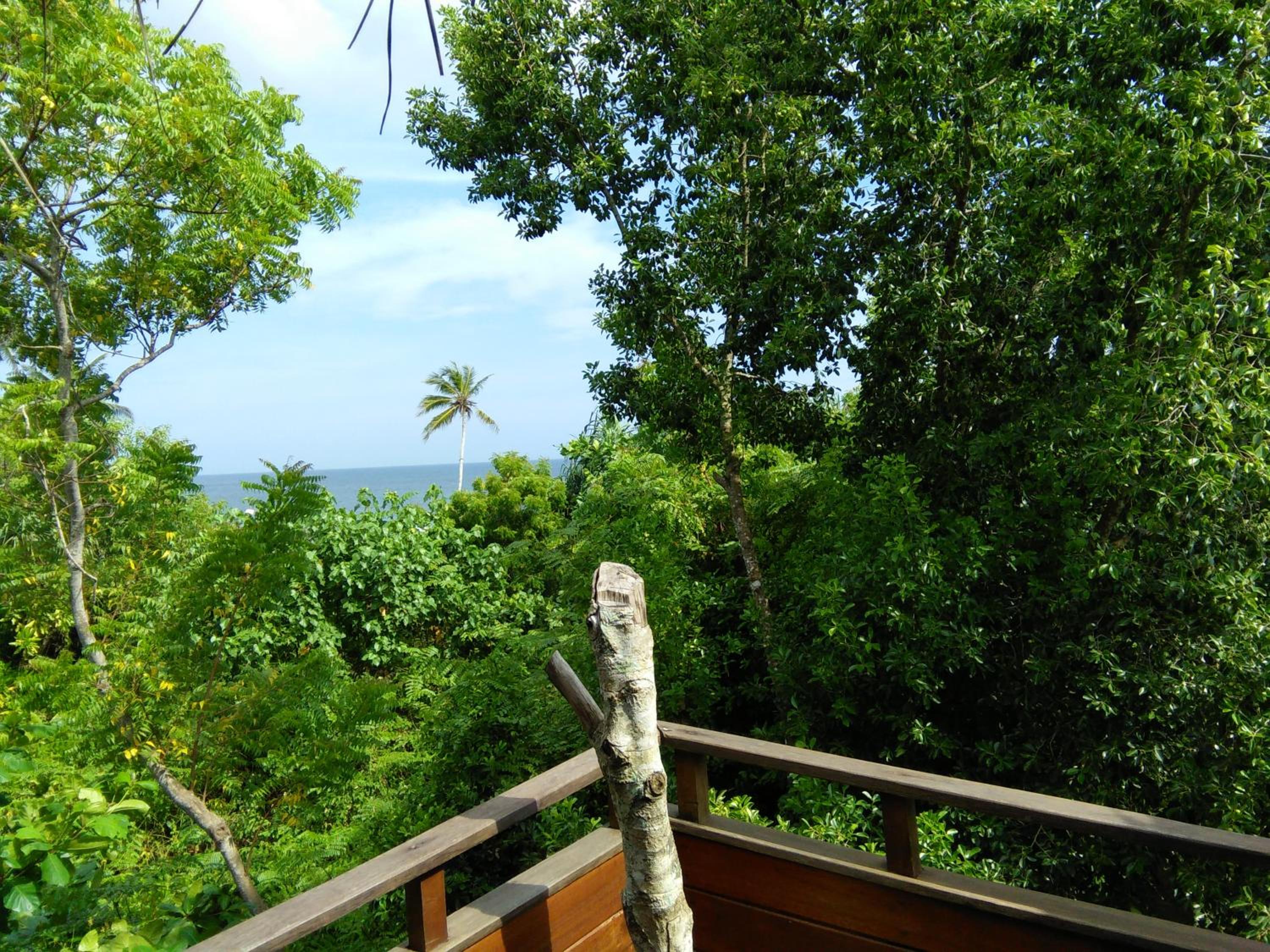 Cinnabar Resort view 4