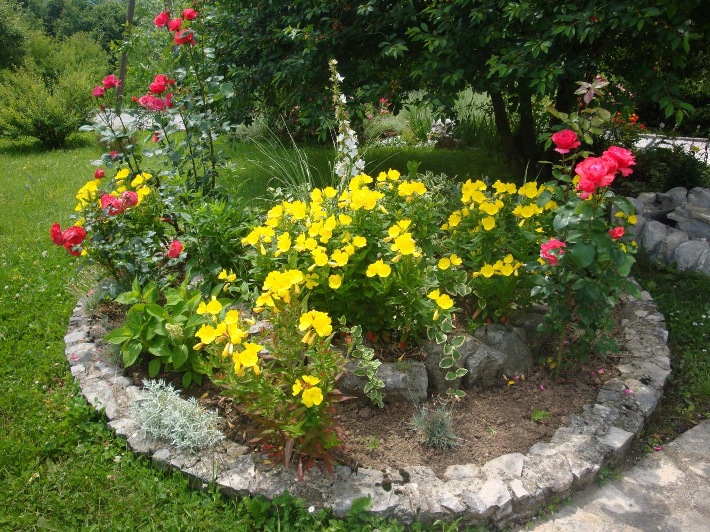 Photo 36