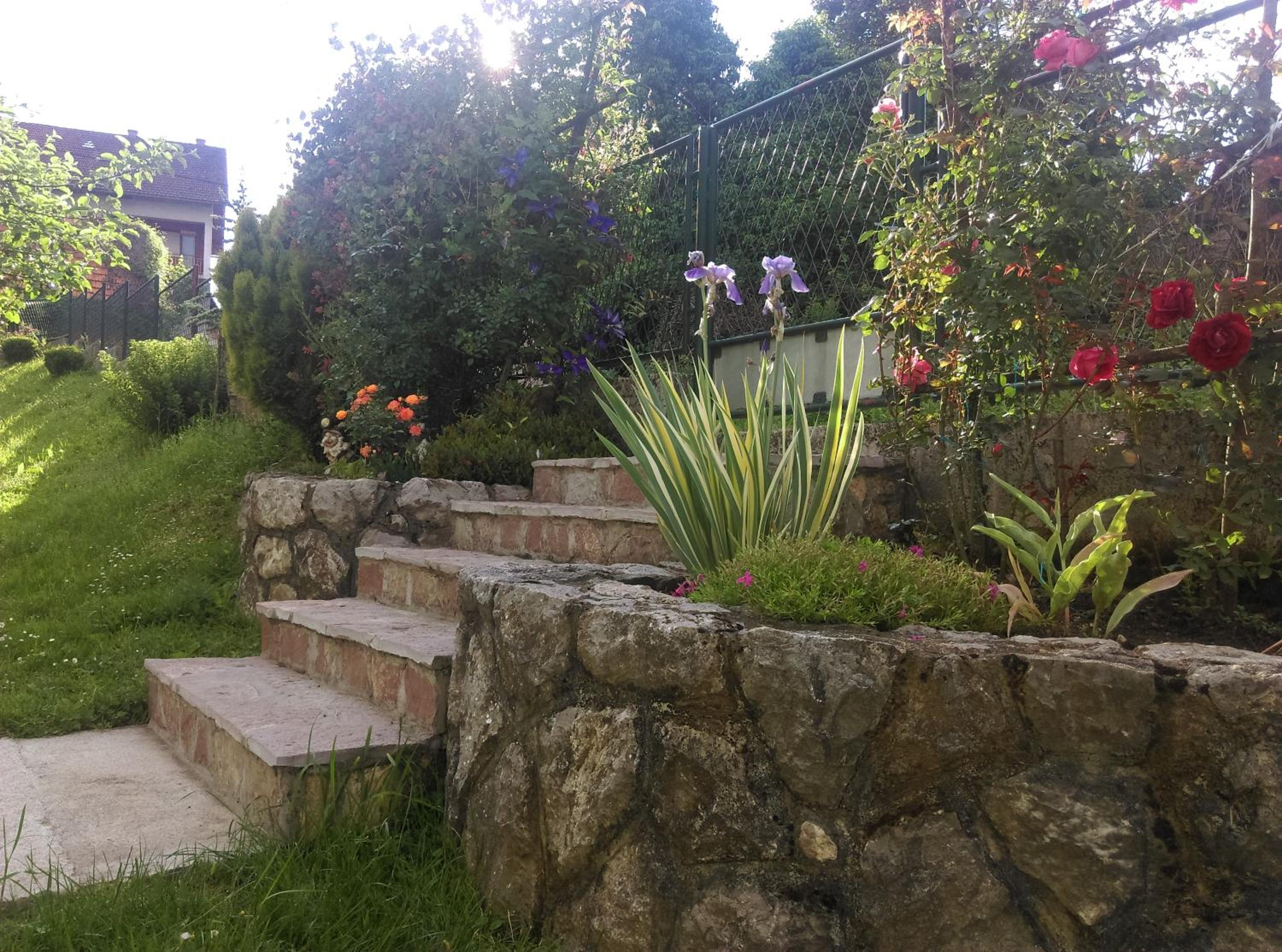 Photo 6