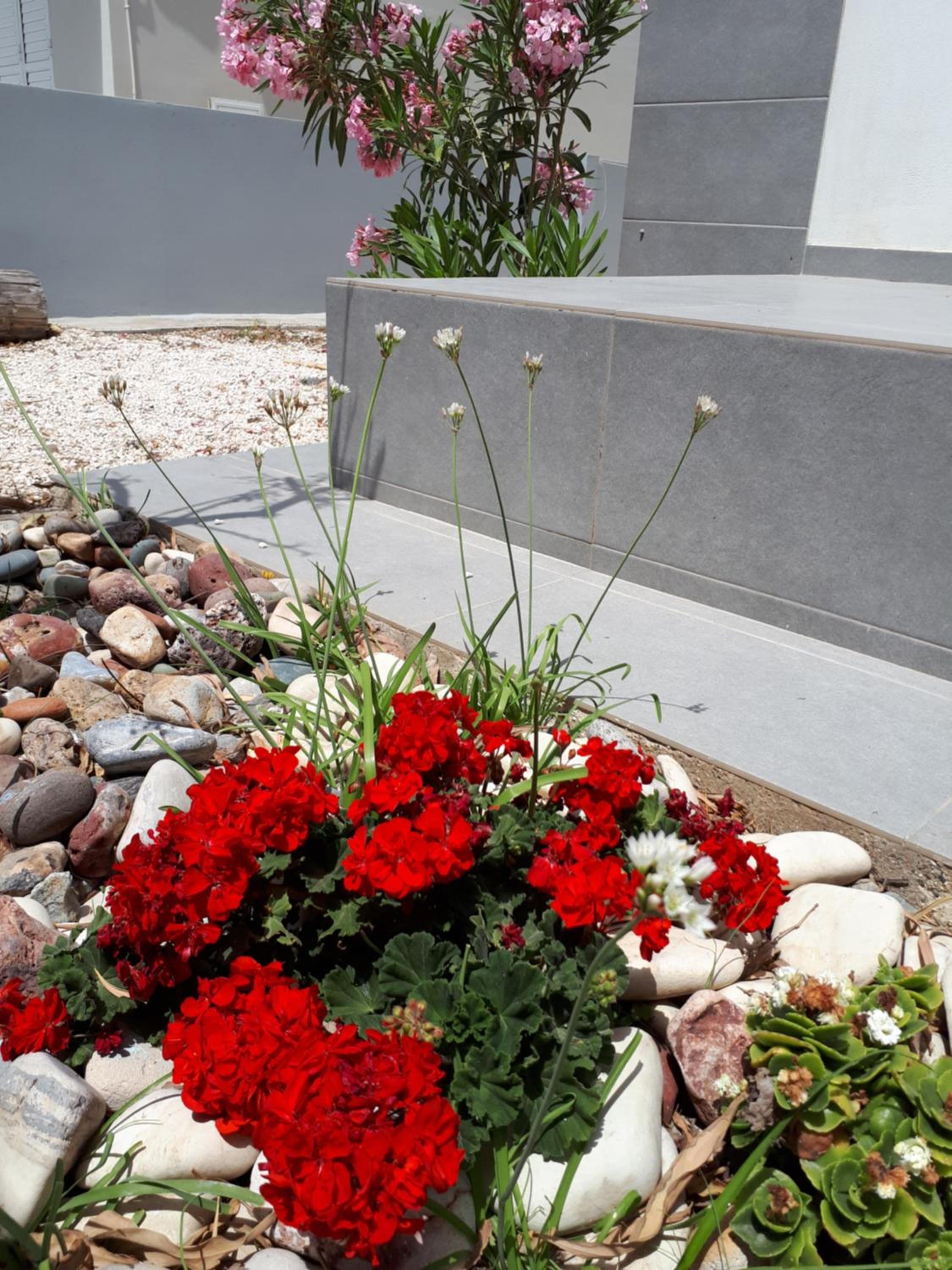 Cozy beach house