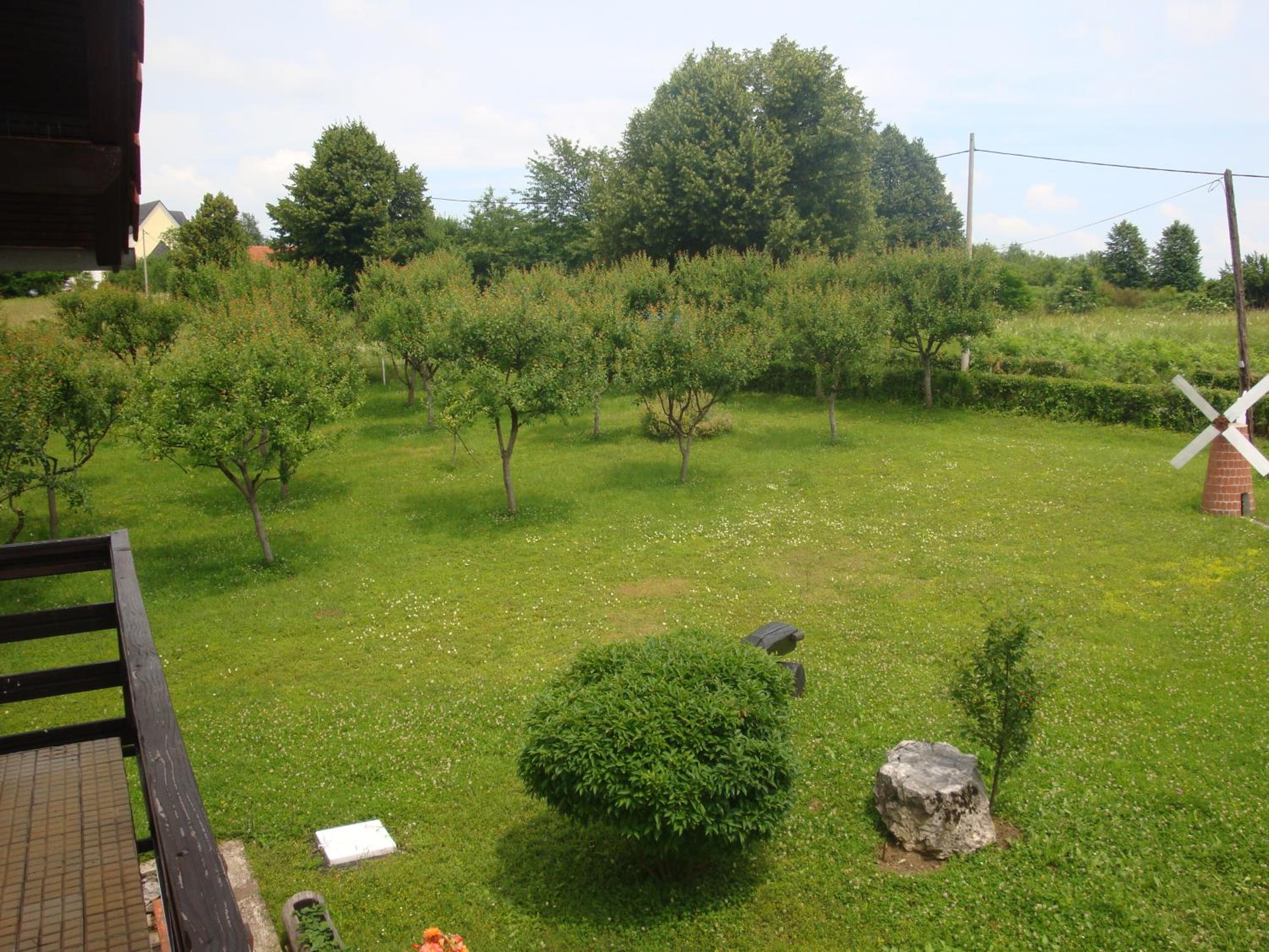 Photo 37