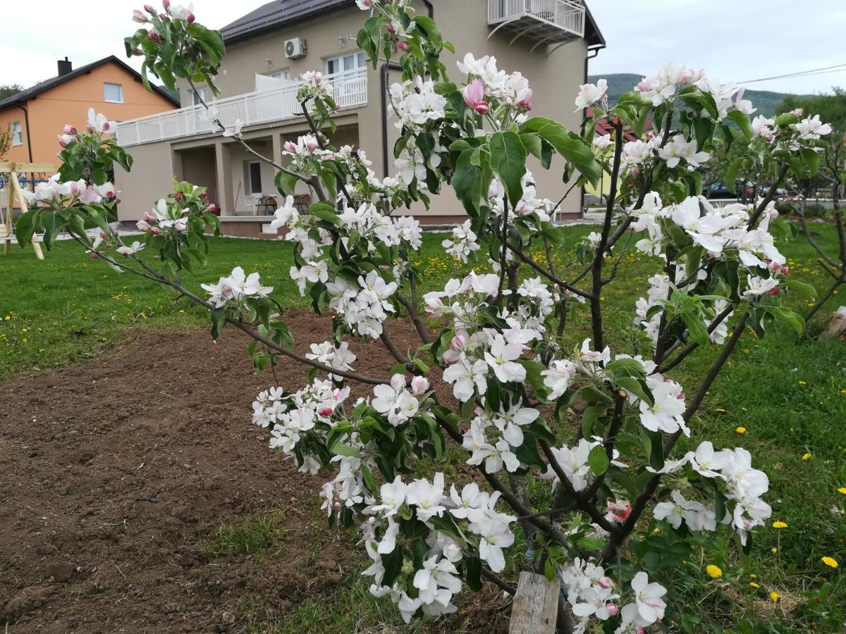 Photo 38