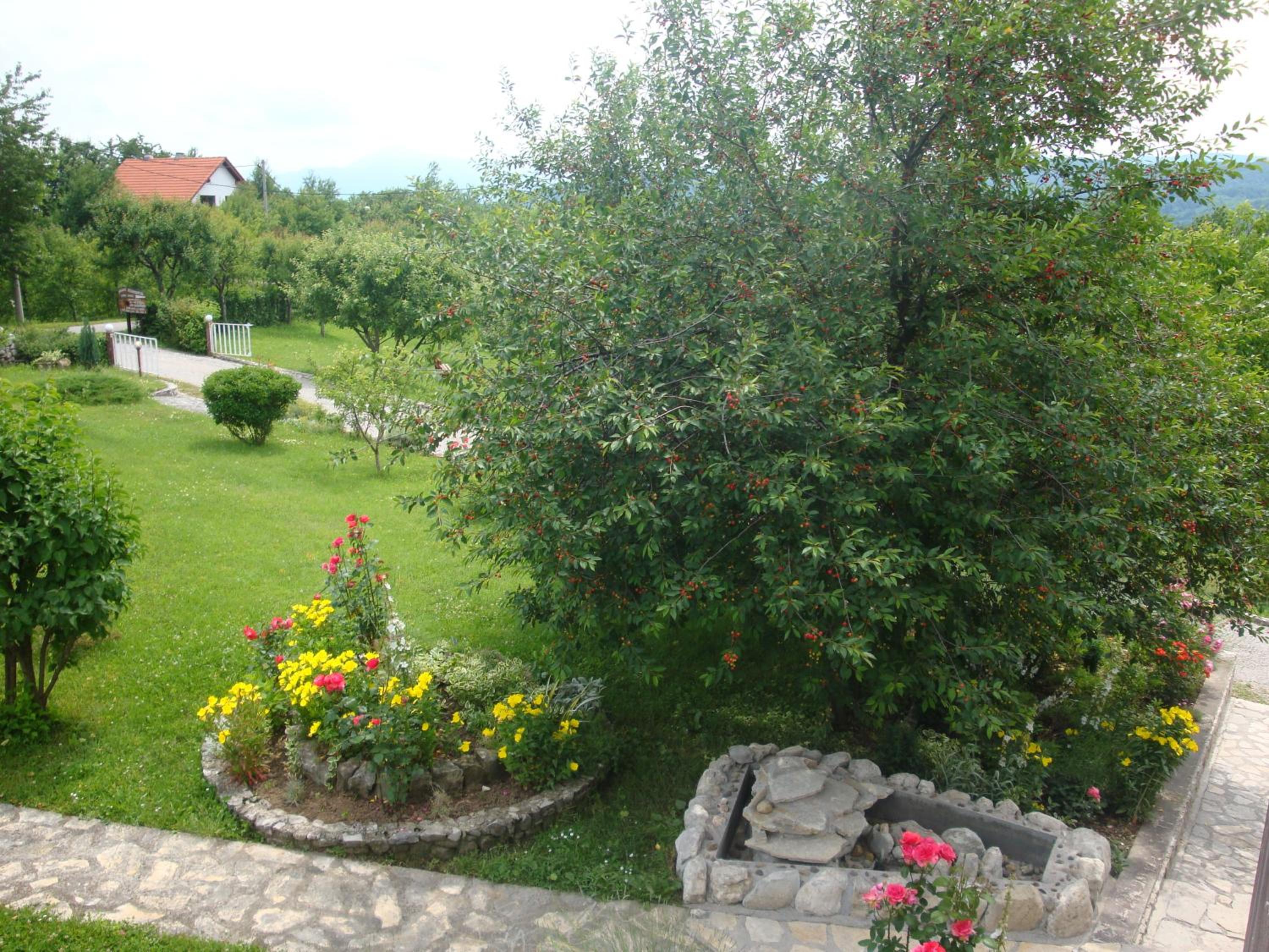 Photo 39