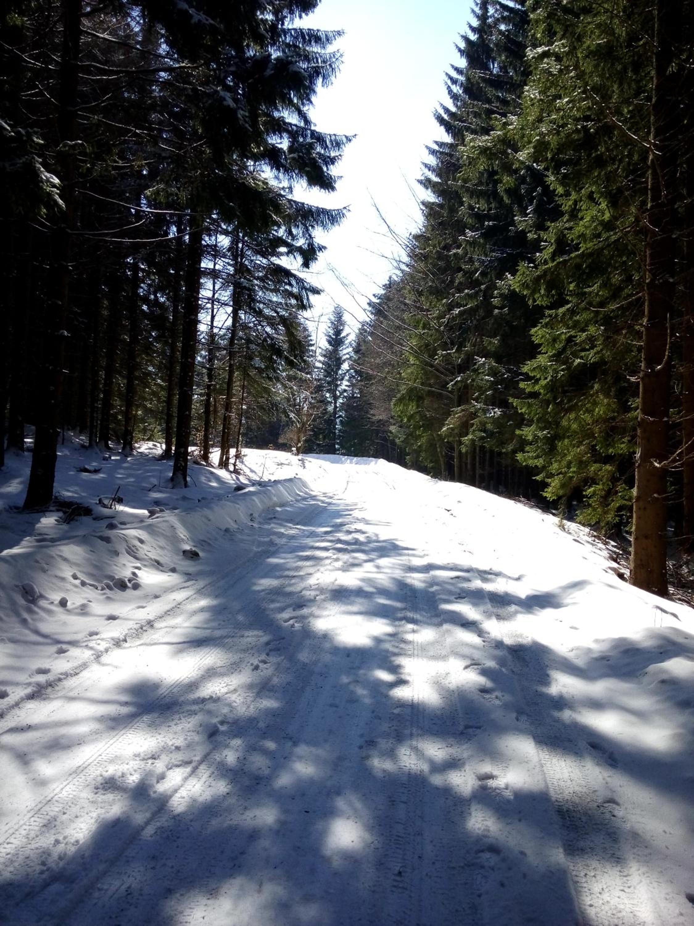 Photo 45